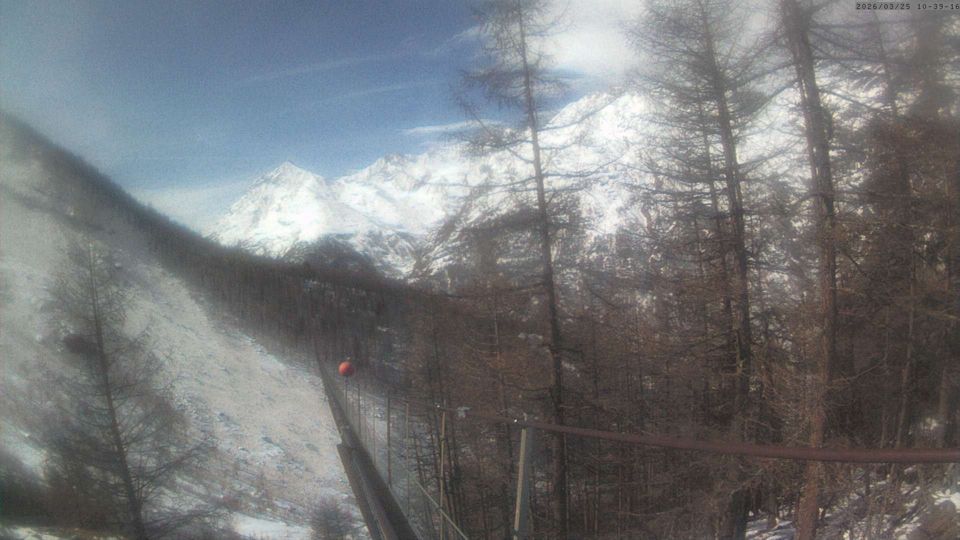 Archiv Foto Webcam Grächen: Charles Kuonen Hängebrücke