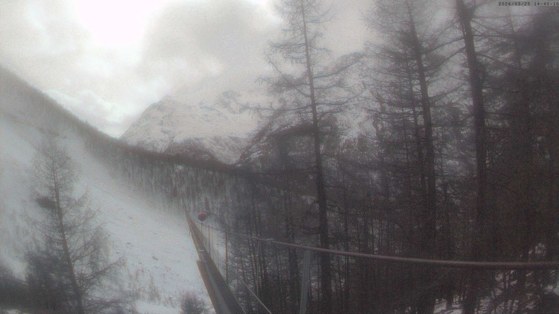 Archiv Foto Webcam Grächen: Charles Kuonen Hängebrücke