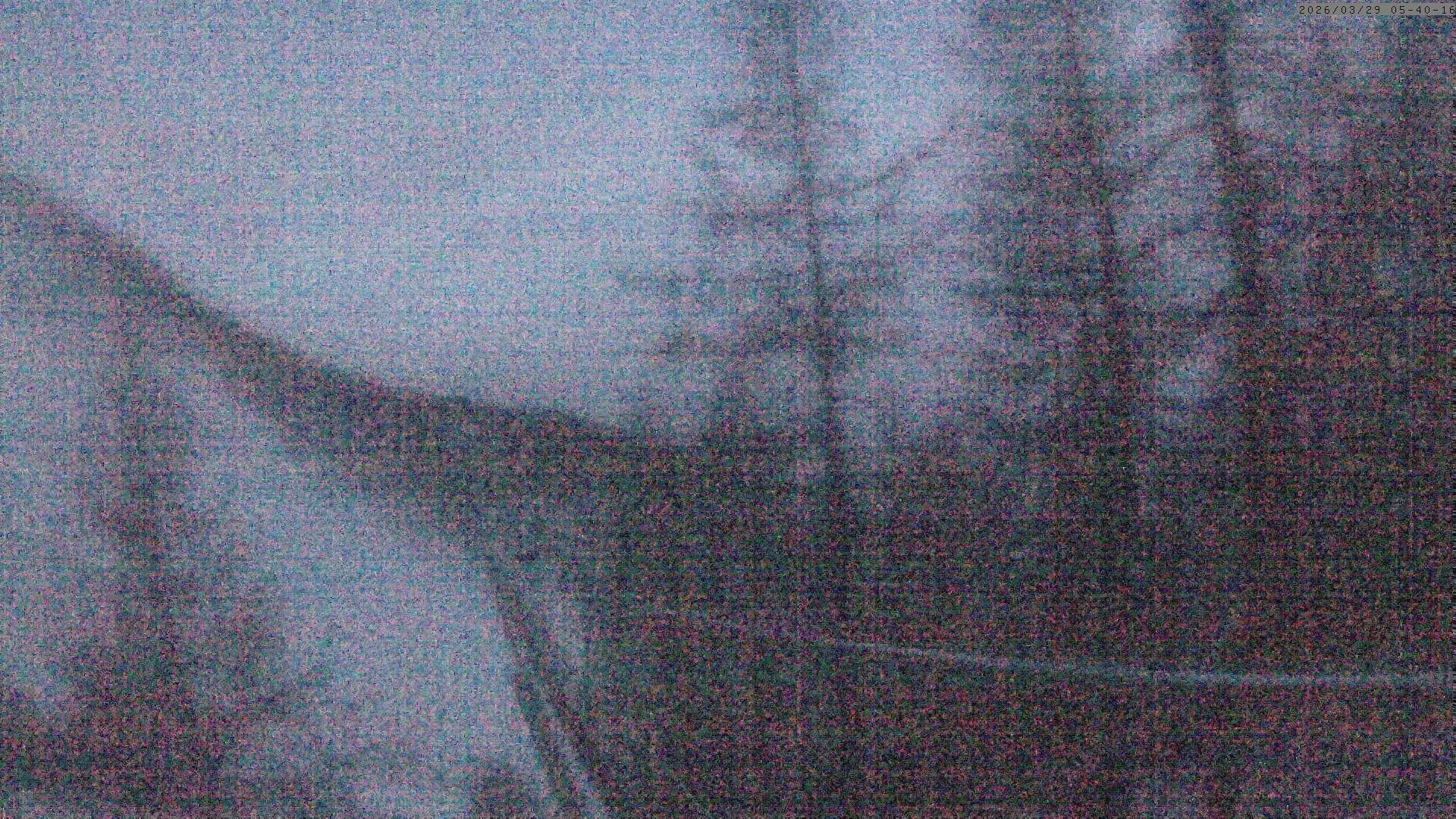 Archiv Foto Webcam Grächen: Charles Kuonen Hängebrücke