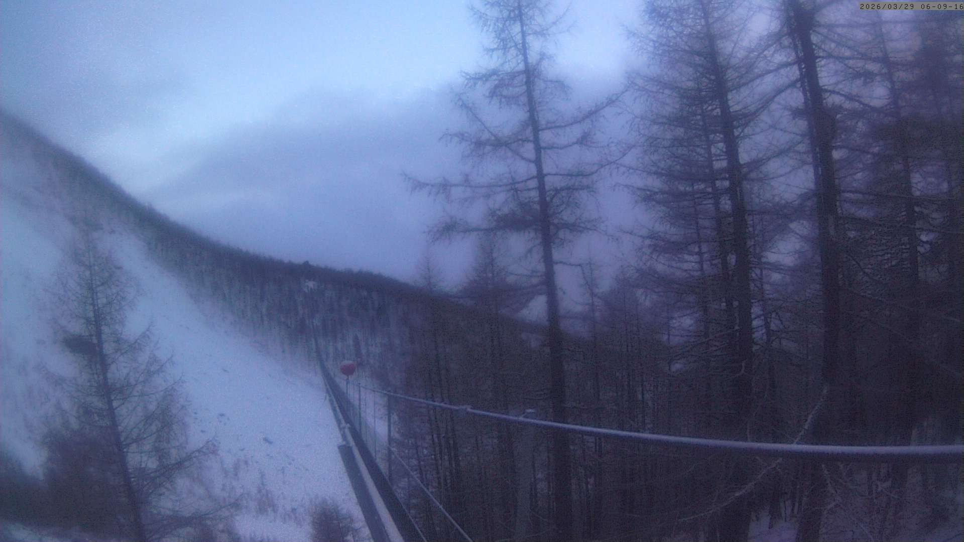 Archiv Foto Webcam Grächen: Charles Kuonen Hängebrücke