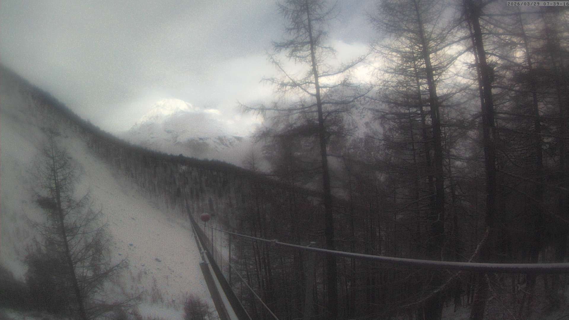 Archiv Foto Webcam Grächen: Charles Kuonen Hängebrücke