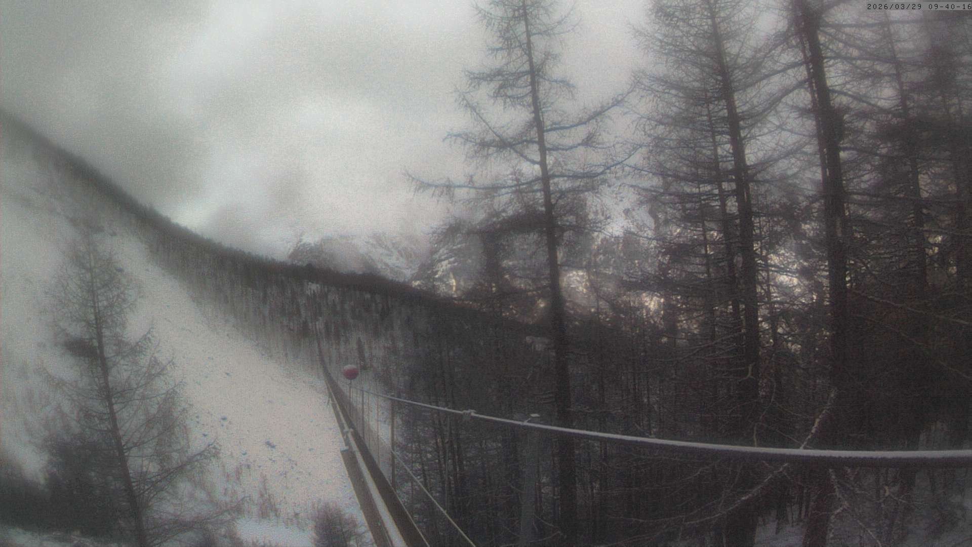 Archiv Foto Webcam Grächen: Charles Kuonen Hängebrücke