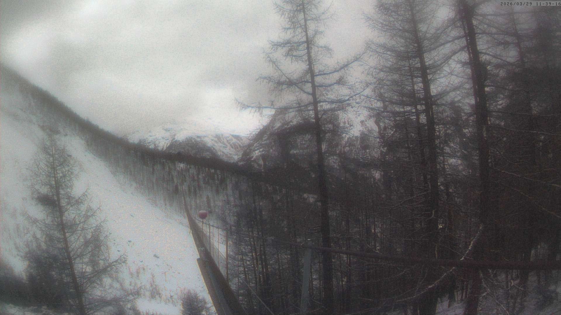 Archiv Foto Webcam Grächen: Charles Kuonen Hängebrücke