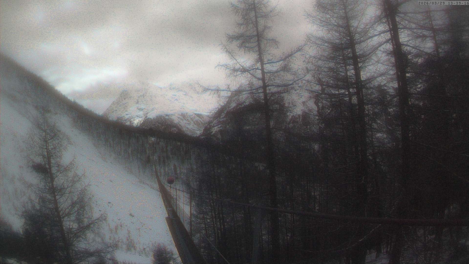 Archiv Foto Webcam Grächen: Charles Kuonen Hängebrücke