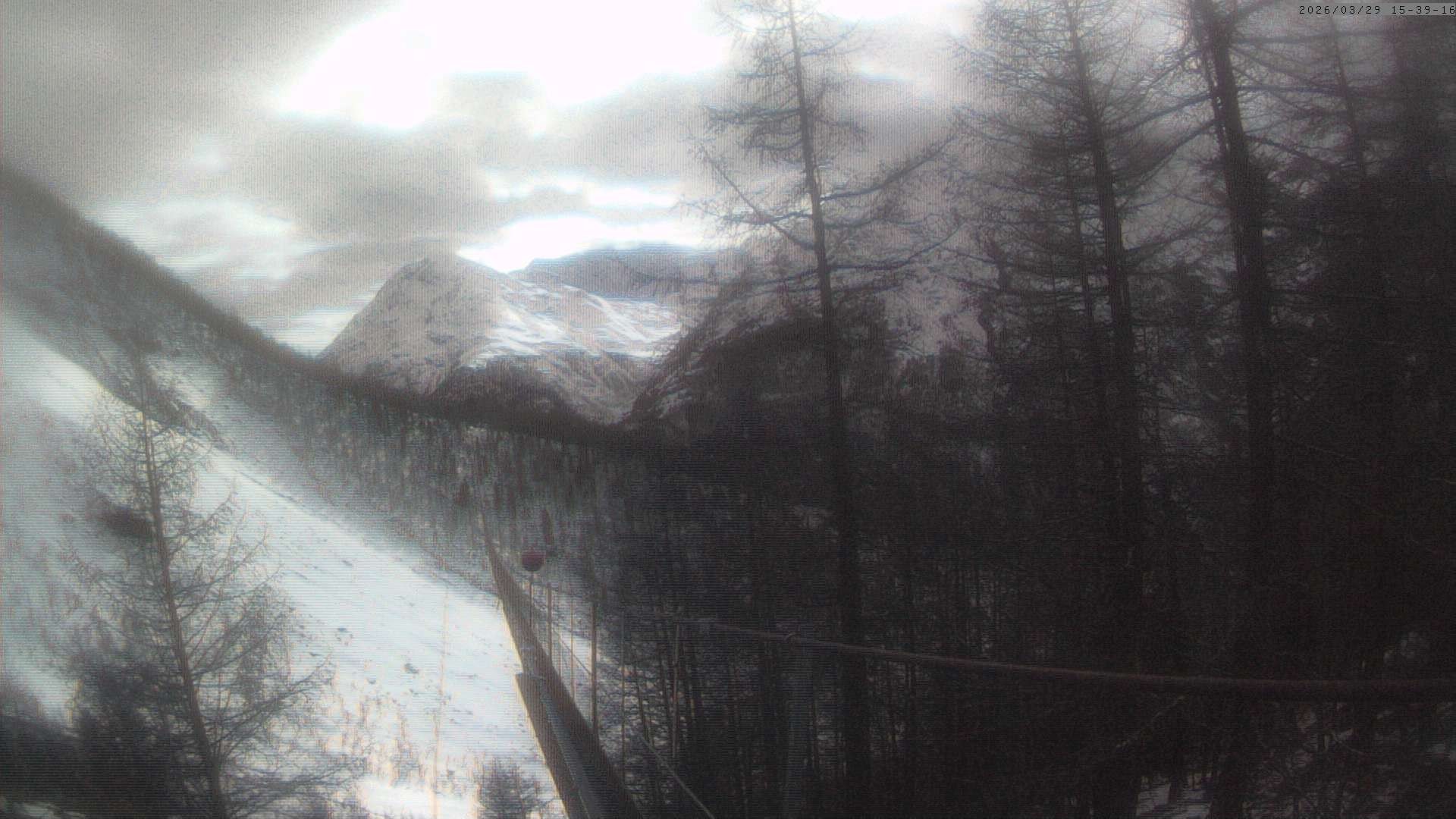 Archiv Foto Webcam Grächen: Charles Kuonen Hängebrücke