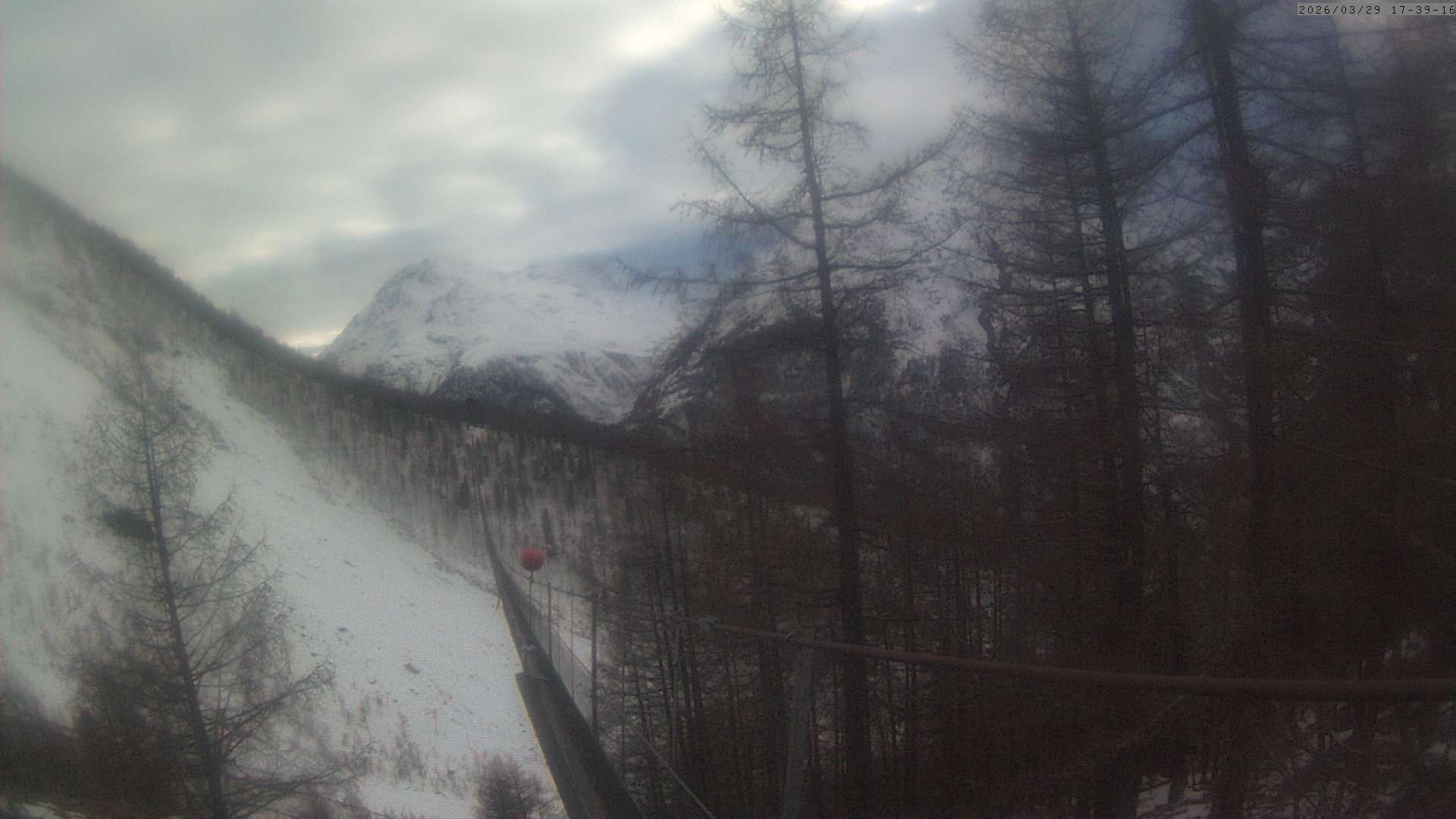 Archiv Foto Webcam Grächen: Charles Kuonen Hängebrücke