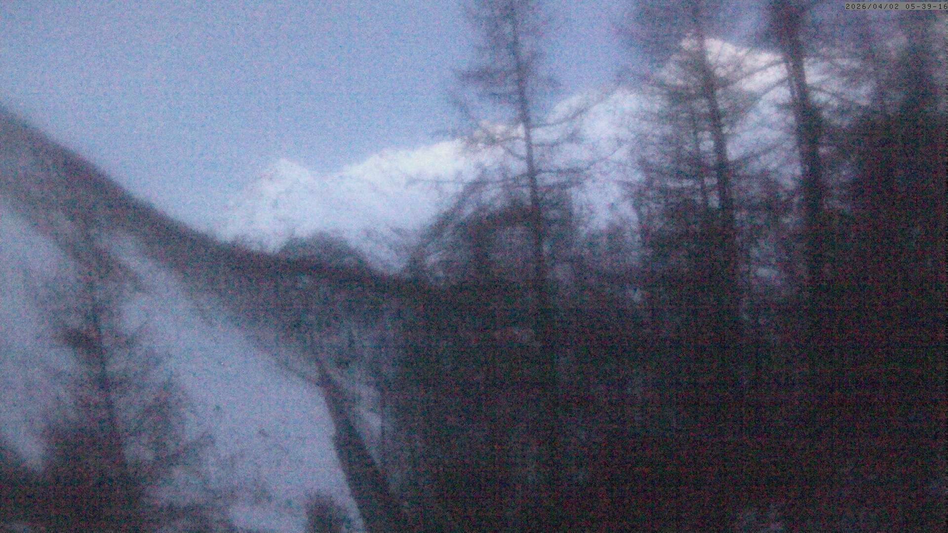 Archiv Foto Webcam Grächen: Charles Kuonen Hängebrücke