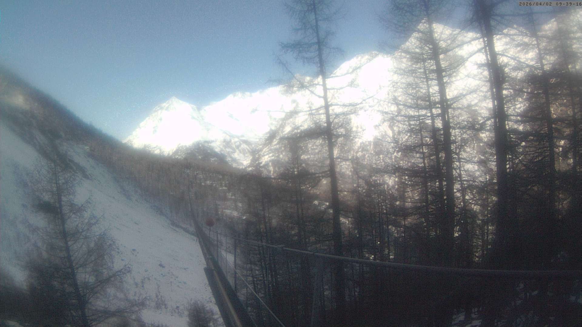 Archiv Foto Webcam Grächen: Charles Kuonen Hängebrücke