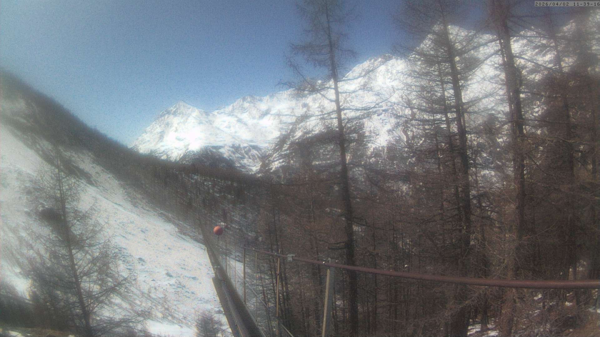 Archiv Foto Webcam Grächen: Charles Kuonen Hängebrücke
