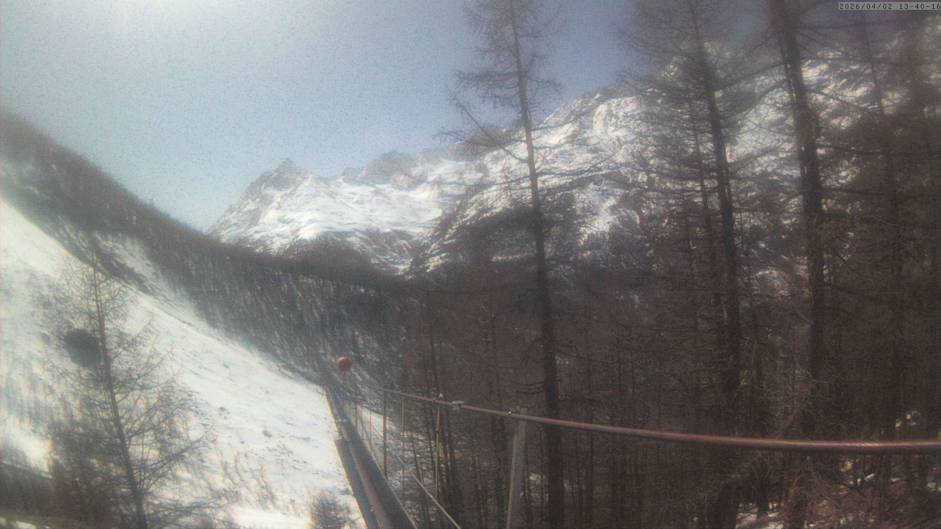 Archiv Foto Webcam Grächen: Charles Kuonen Hängebrücke