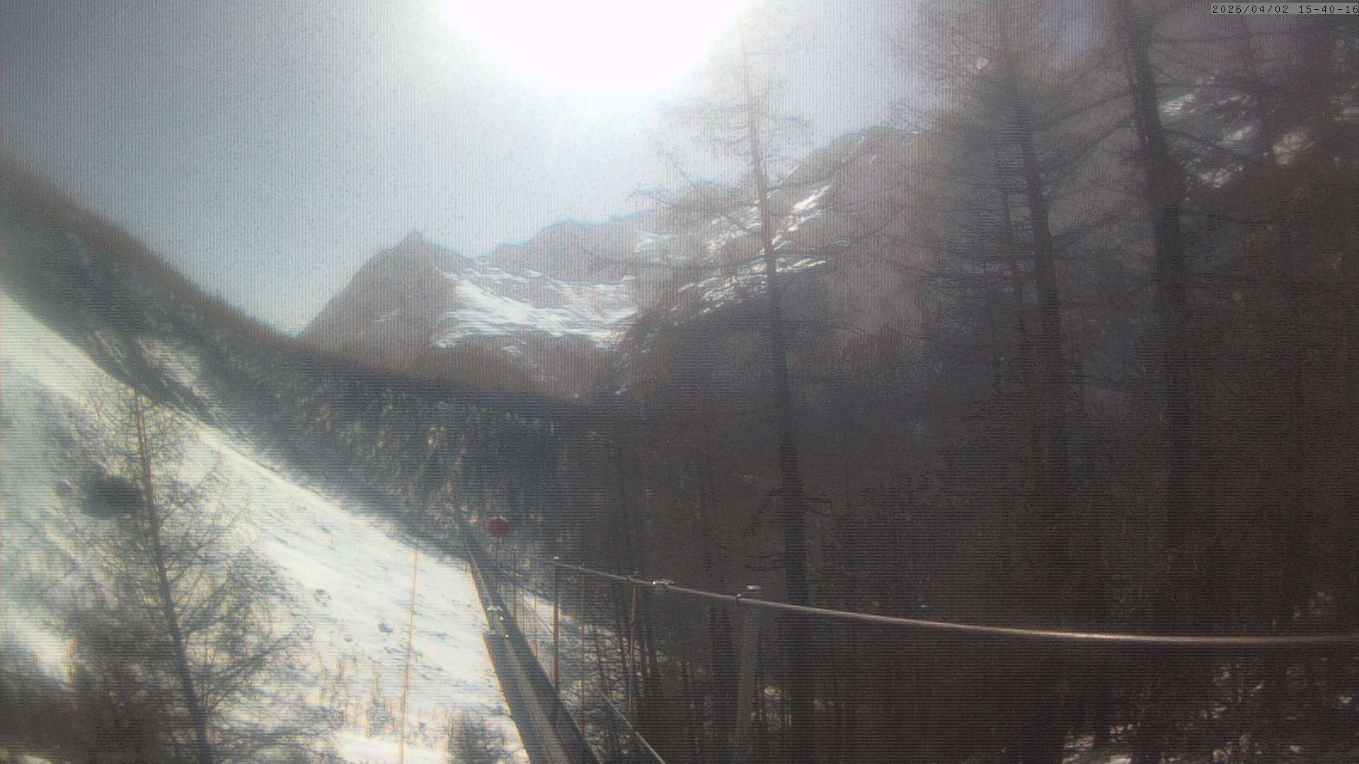 Archiv Foto Webcam Grächen: Charles Kuonen Hängebrücke