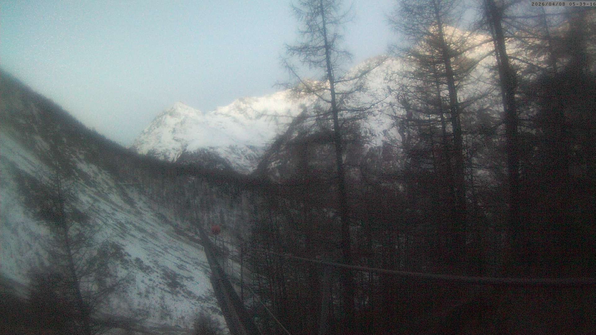 Archiv Foto Webcam Grächen: Charles Kuonen Hängebrücke