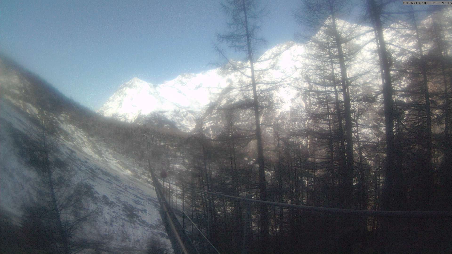 Archiv Foto Webcam Grächen: Charles Kuonen Hängebrücke