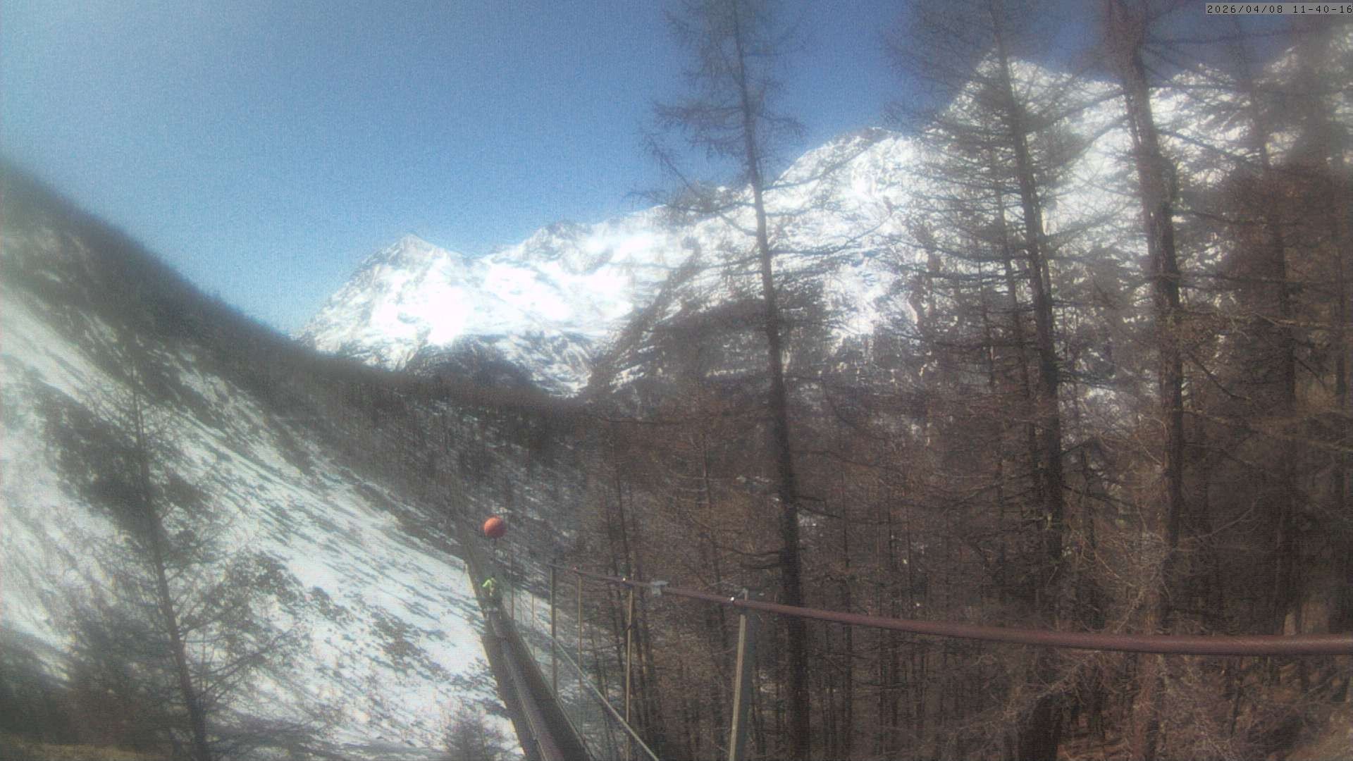 Archiv Foto Webcam Grächen: Charles Kuonen Hängebrücke