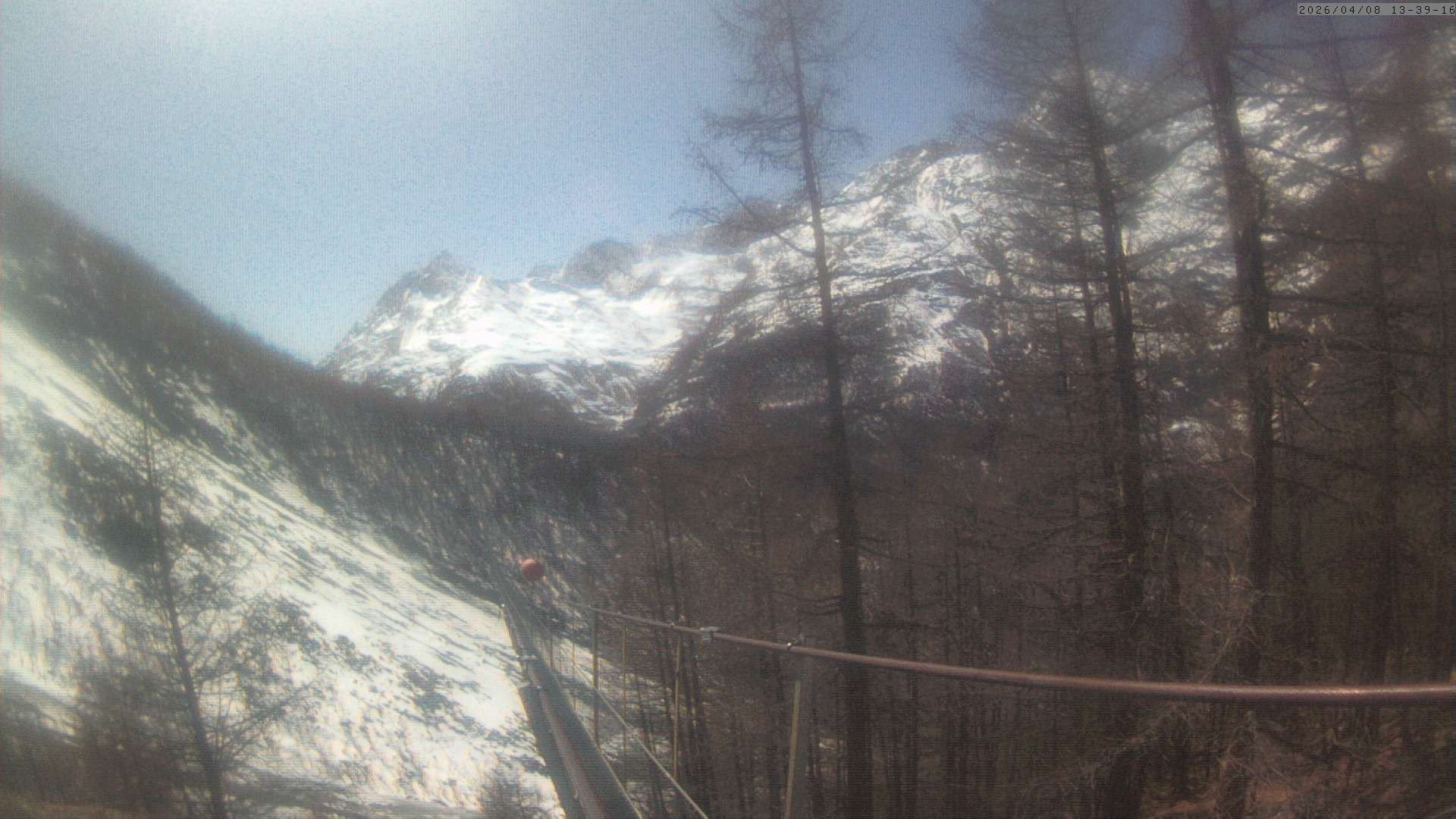 Archiv Foto Webcam Grächen: Charles Kuonen Hängebrücke