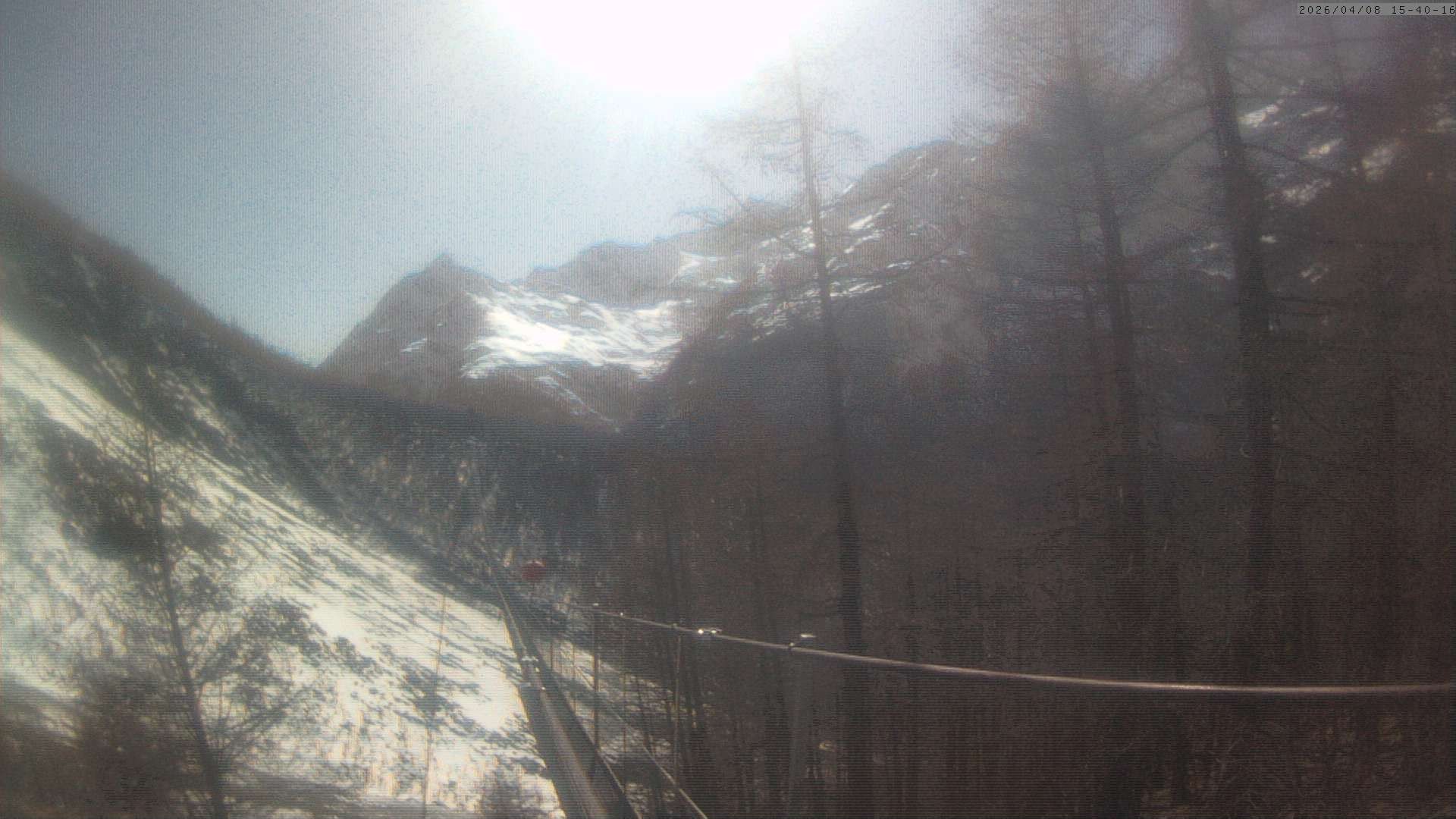 Archiv Foto Webcam Grächen: Charles Kuonen Hängebrücke