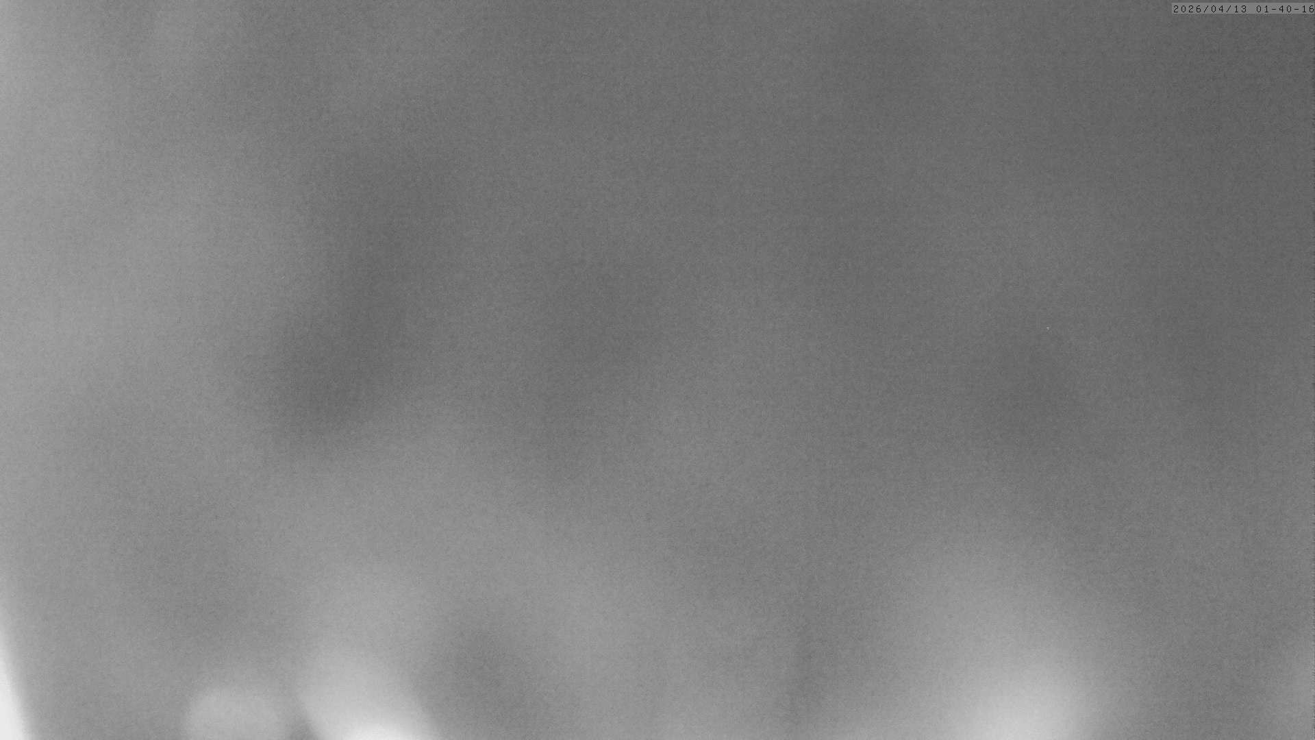 Archiv Foto Webcam Grächen: Charles Kuonen Hängebrücke