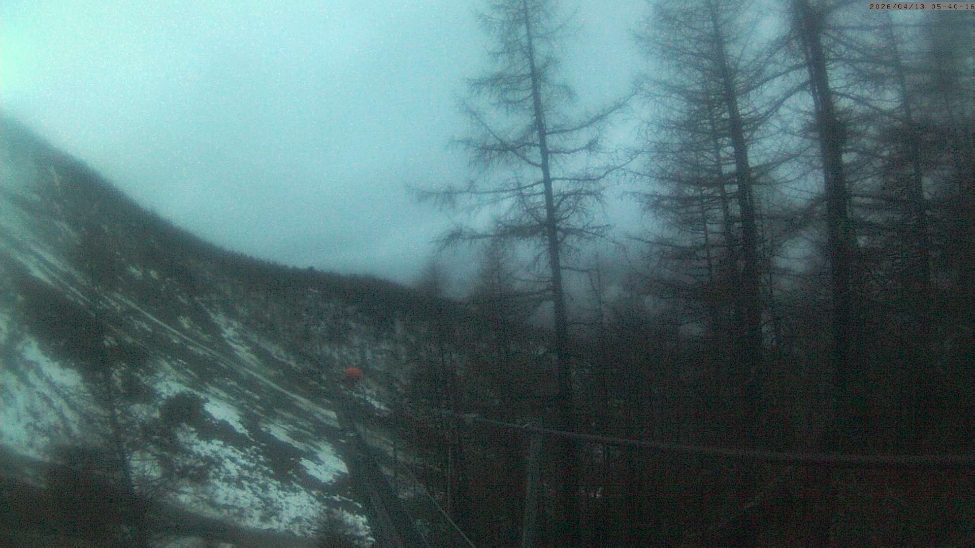 Archived image Webcam Grächen - View Suspension Bridge Charles Kuonen