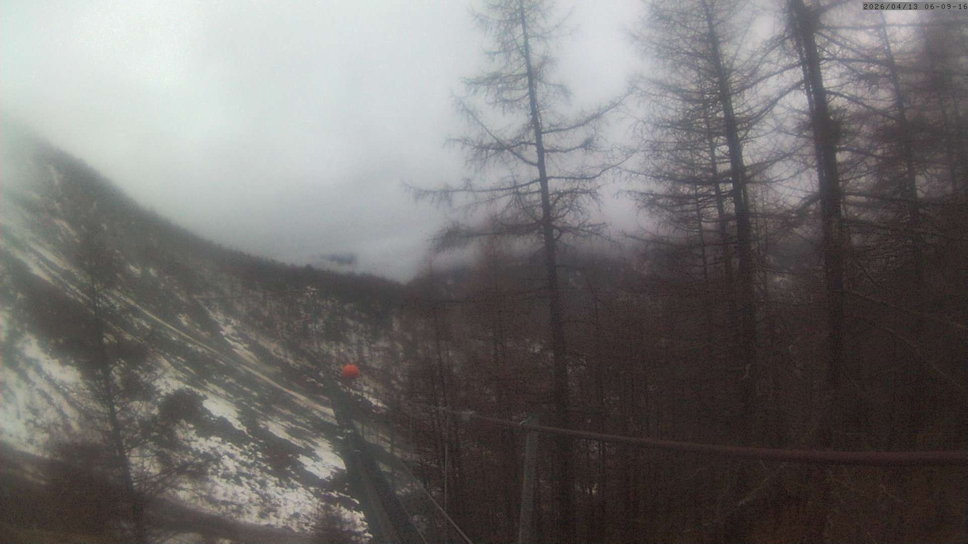 Archived image Webcam Grächen - View Suspension Bridge Charles Kuonen