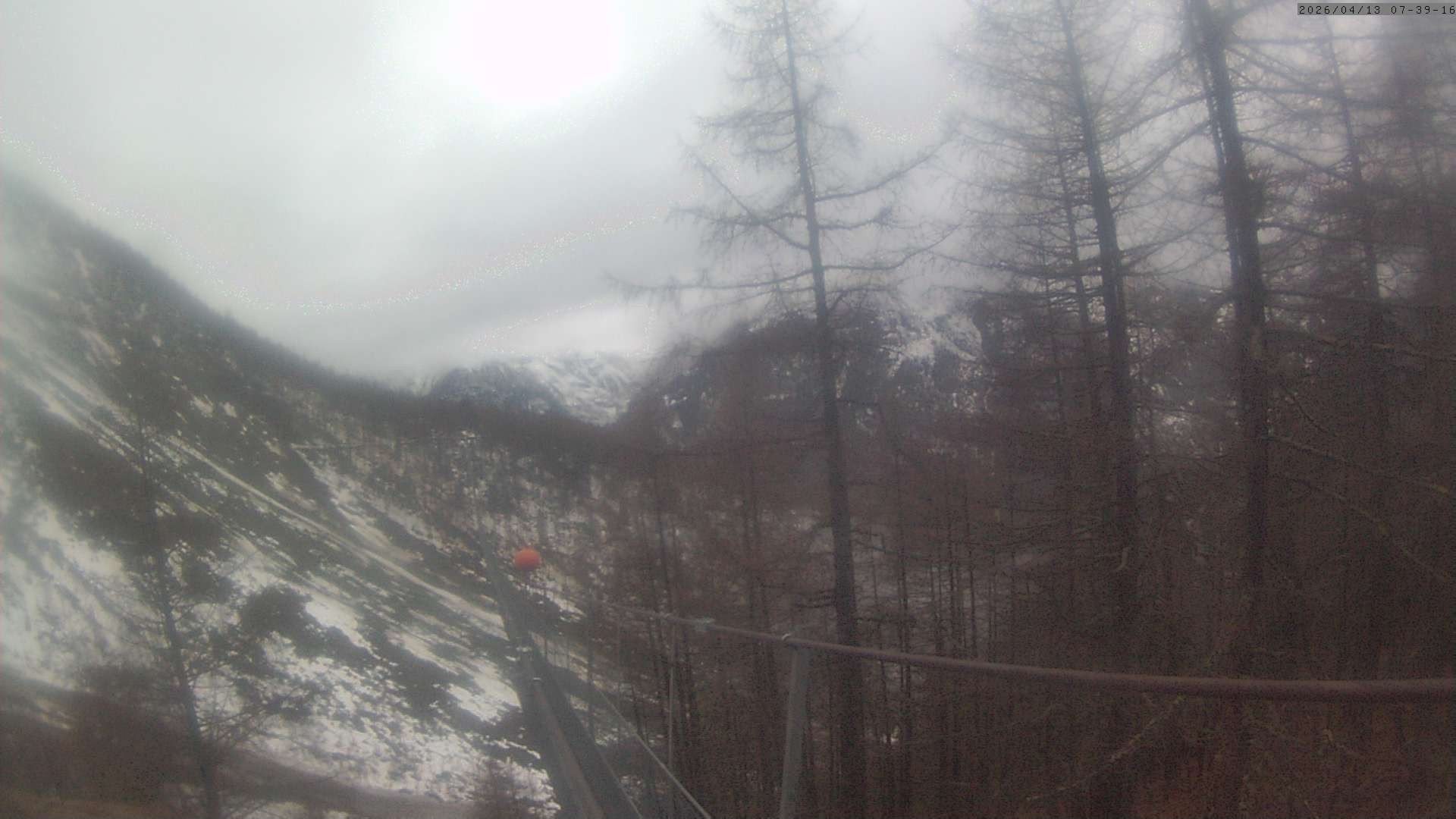 Archived image Webcam Grächen - View Suspension Bridge Charles Kuonen