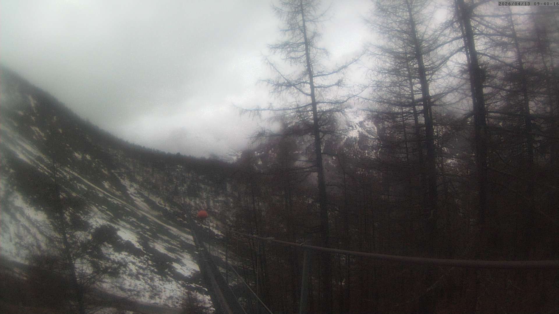 Archived image Webcam Grächen - View Suspension Bridge Charles Kuonen