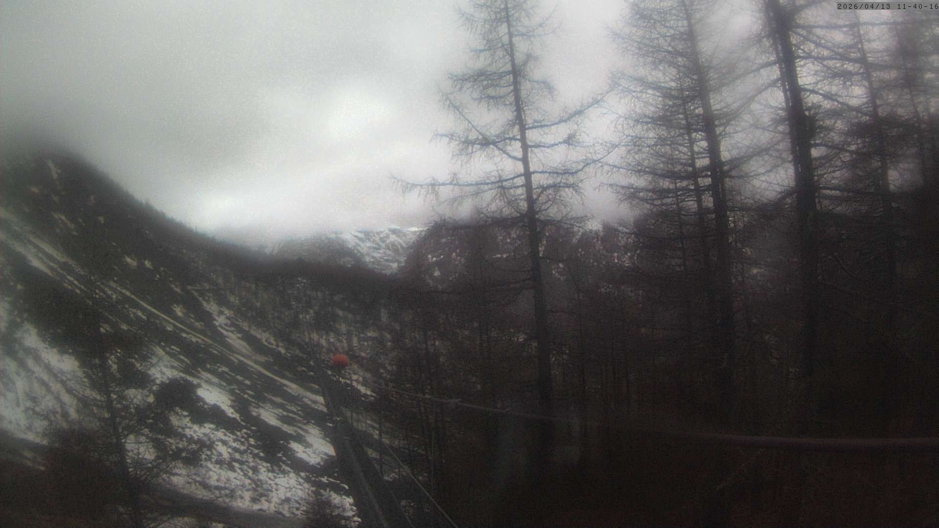 Archived image Webcam Grächen - View Suspension Bridge Charles Kuonen