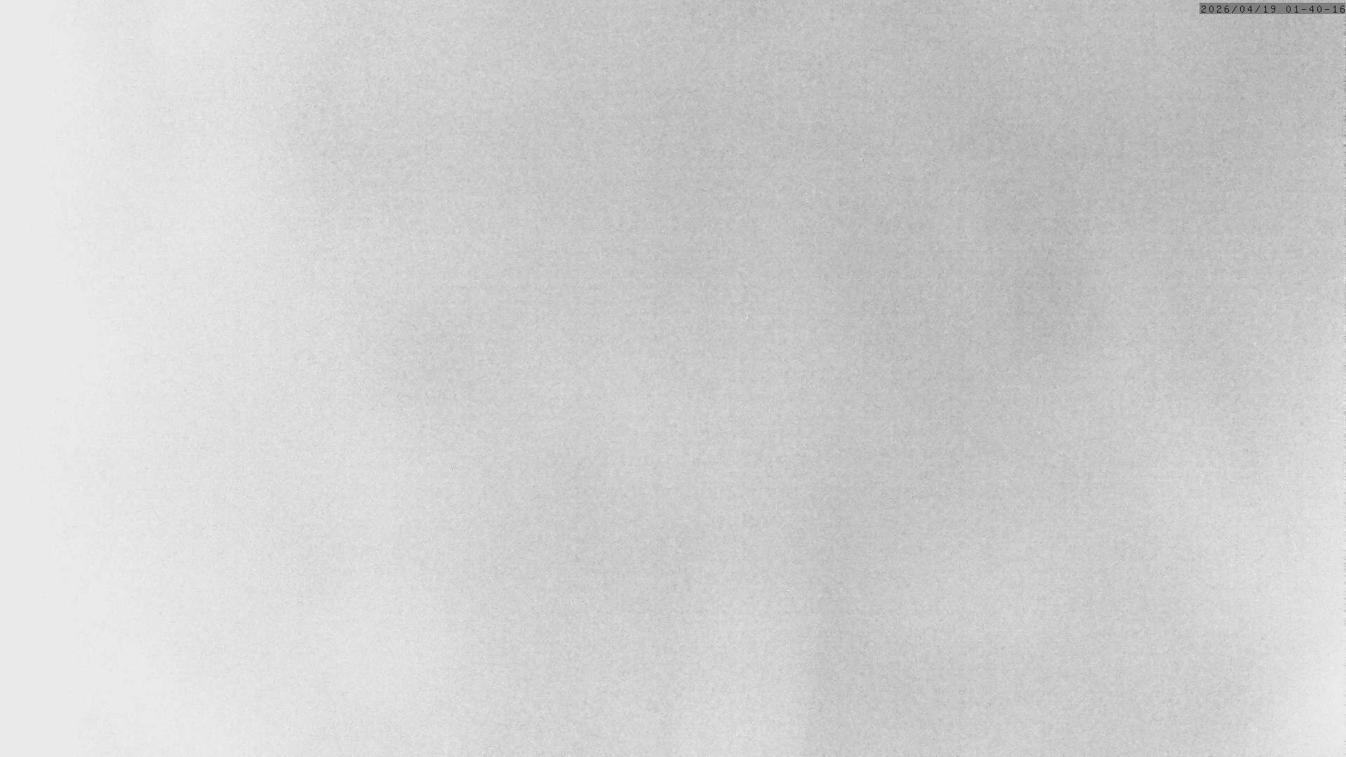 Archiv Foto Webcam Grächen: Charles Kuonen Hängebrücke