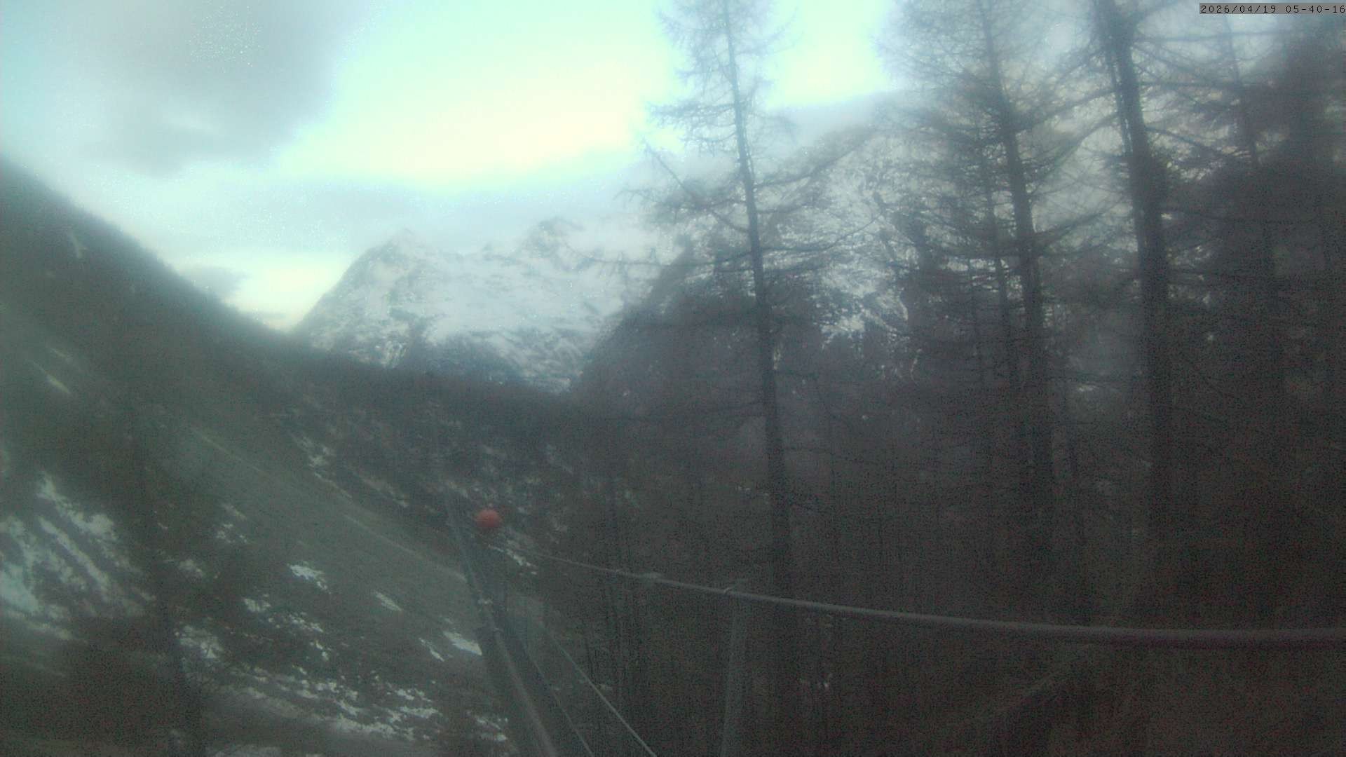 Archived image Webcam Grächen - View Suspension Bridge Charles Kuonen