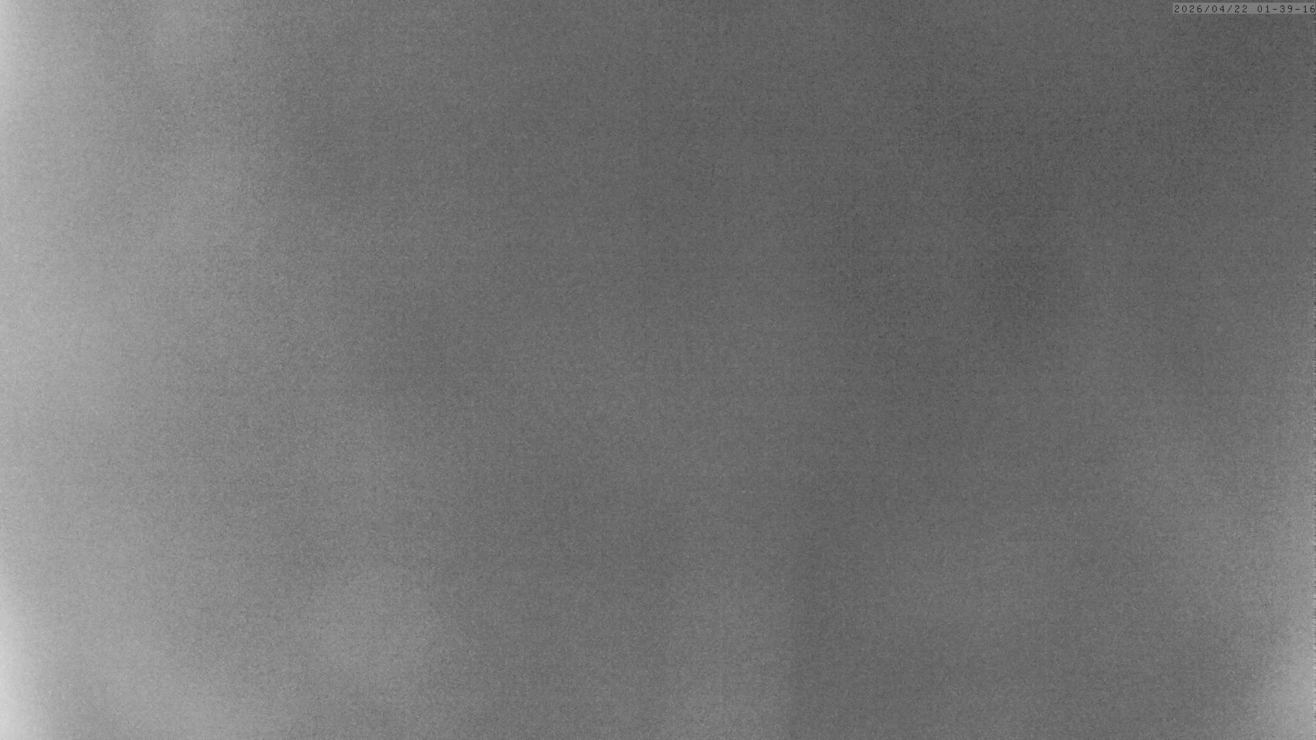 Archiv Foto Webcam Grächen: Charles Kuonen Hängebrücke