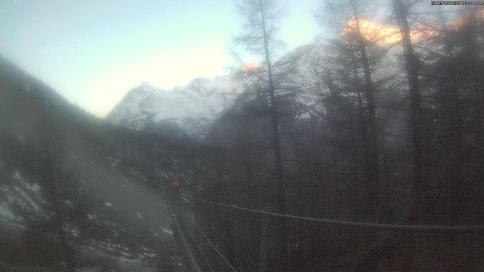 Archiv Foto Webcam Grächen: Charles Kuonen Hängebrücke