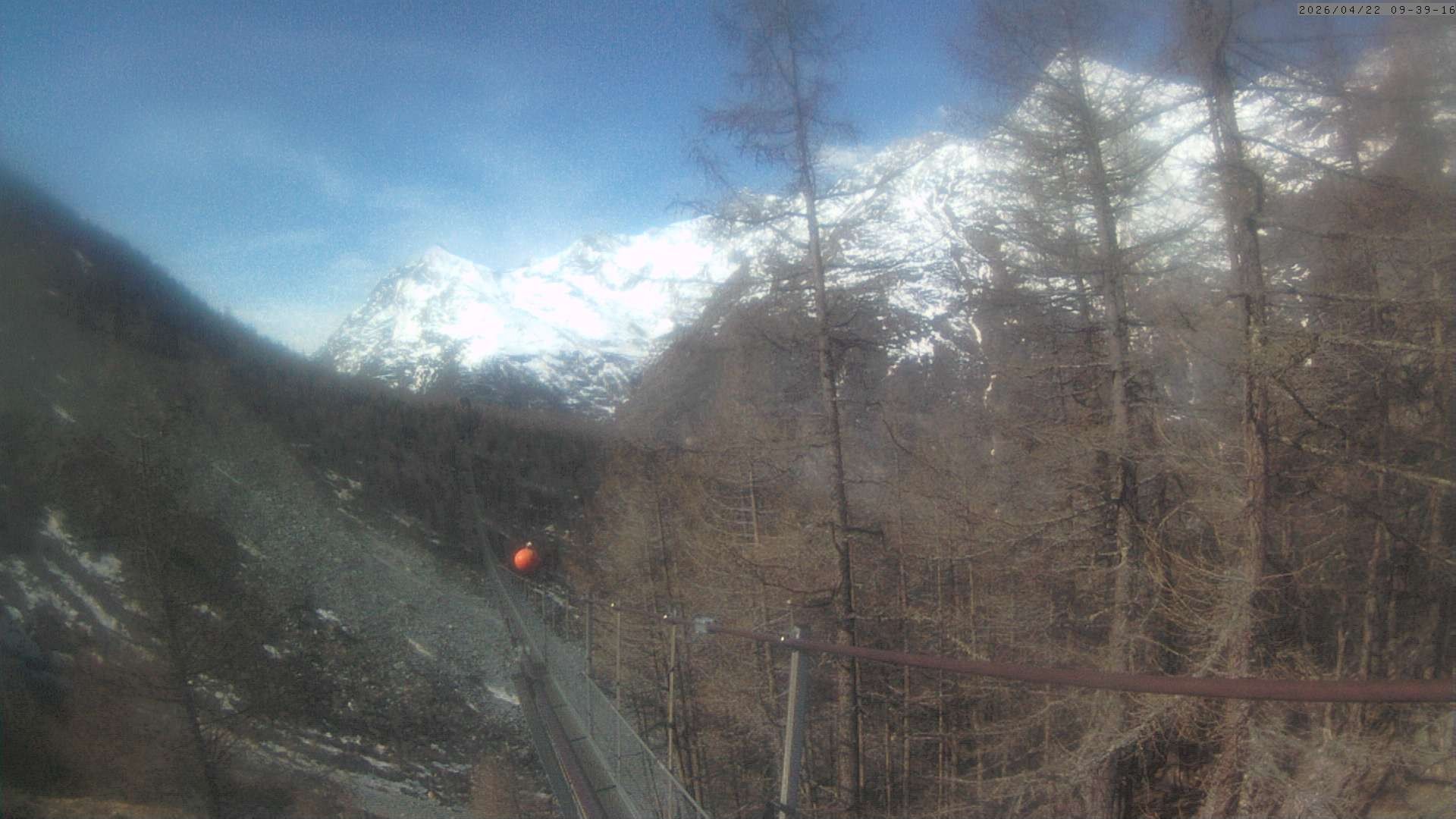 Archiv Foto Webcam Grächen: Charles Kuonen Hängebrücke