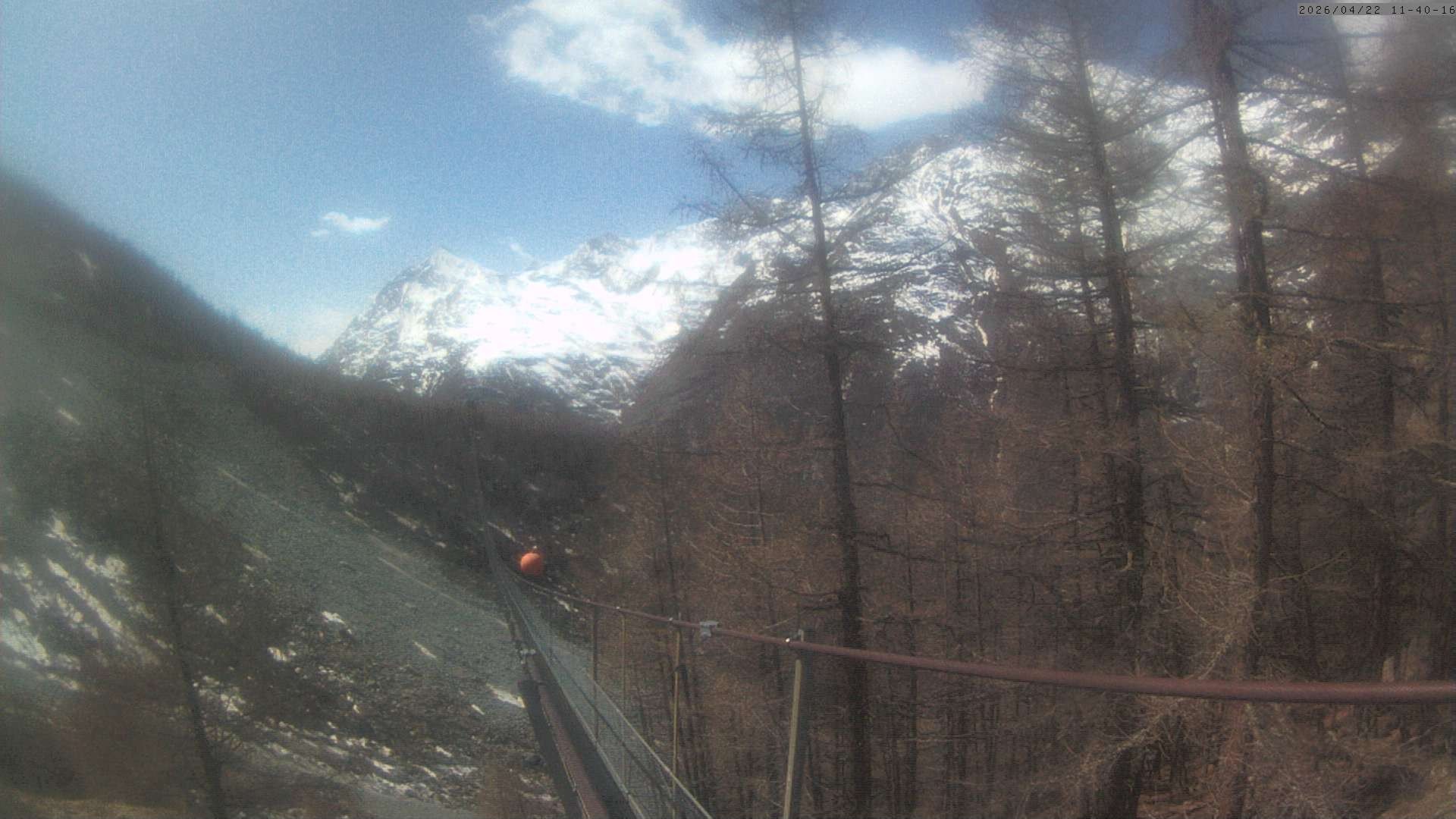 Archiv Foto Webcam Grächen: Charles Kuonen Hängebrücke