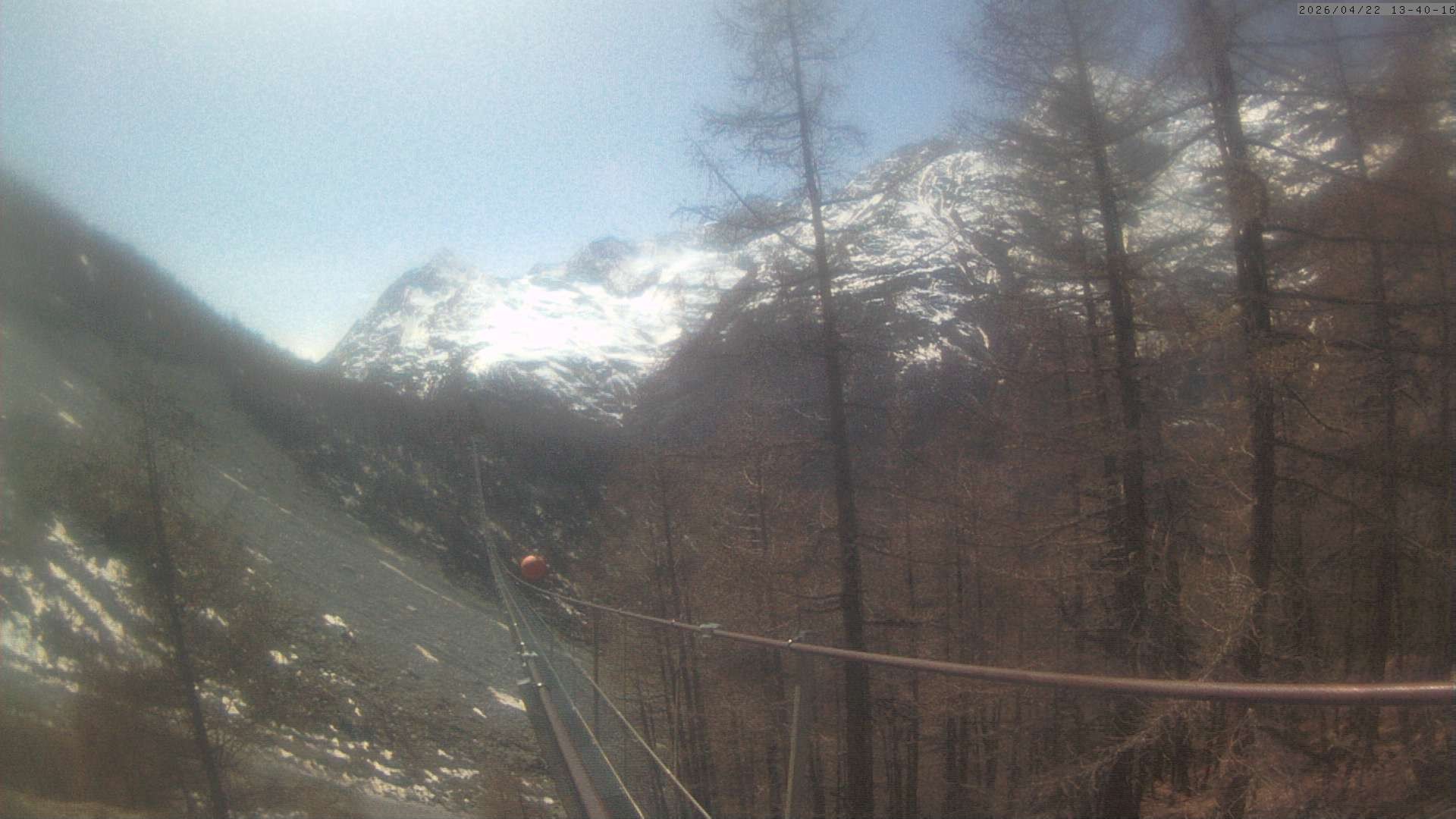 Archiv Foto Webcam Grächen: Charles Kuonen Hängebrücke