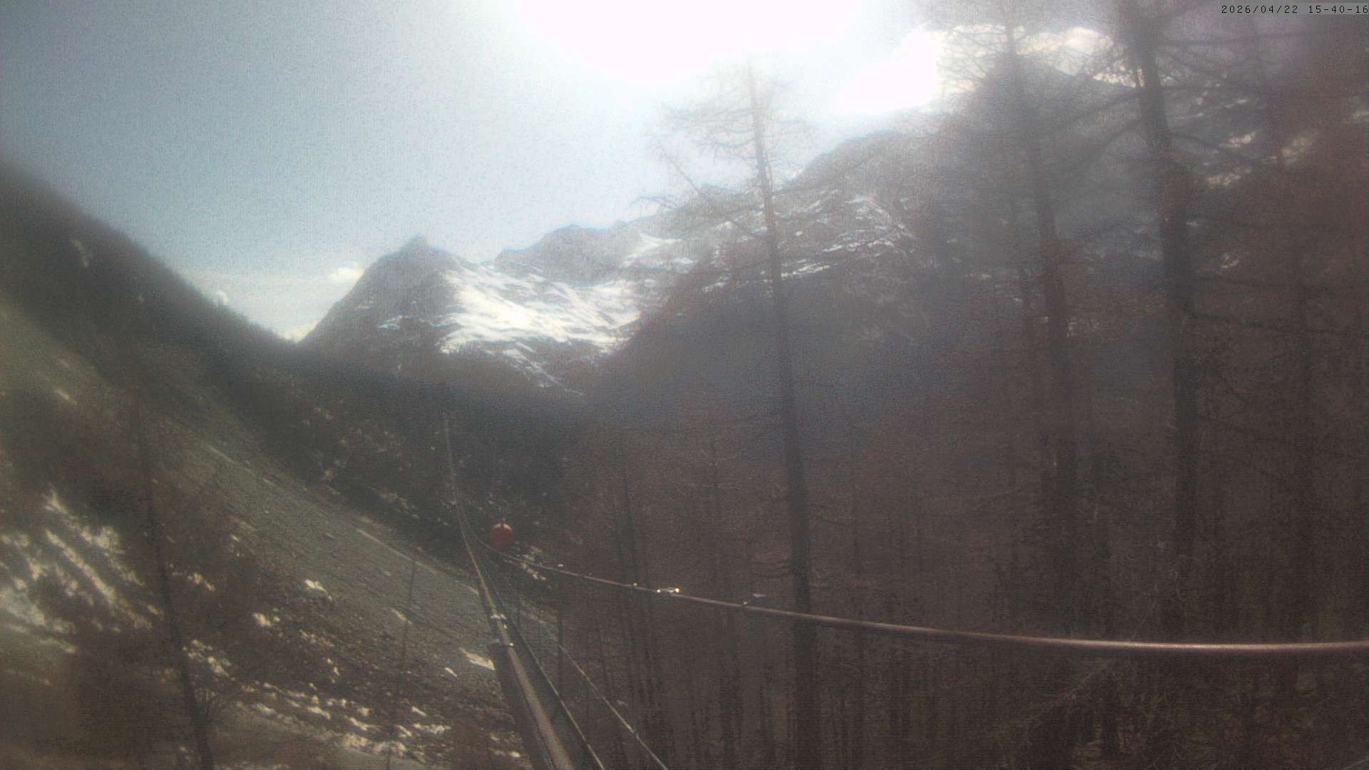 Archiv Foto Webcam Grächen: Charles Kuonen Hängebrücke