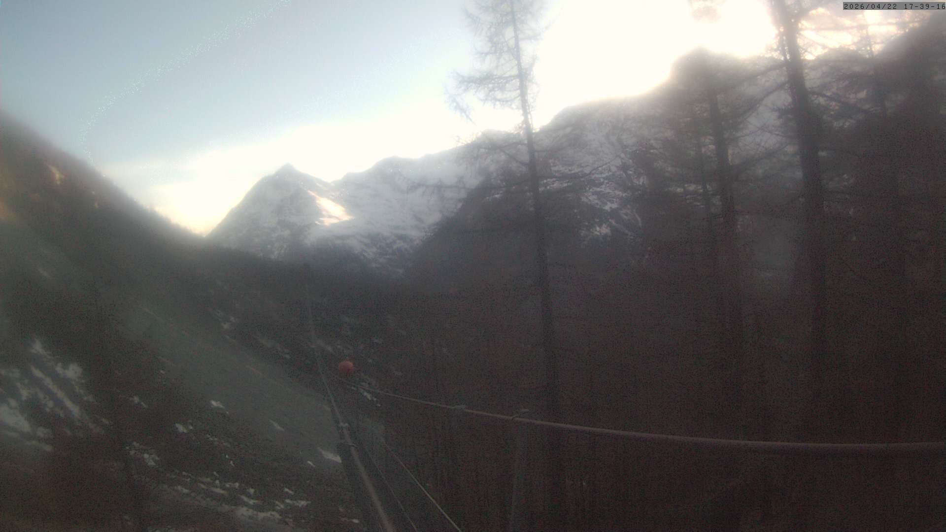 Archiv Foto Webcam Grächen: Charles Kuonen Hängebrücke