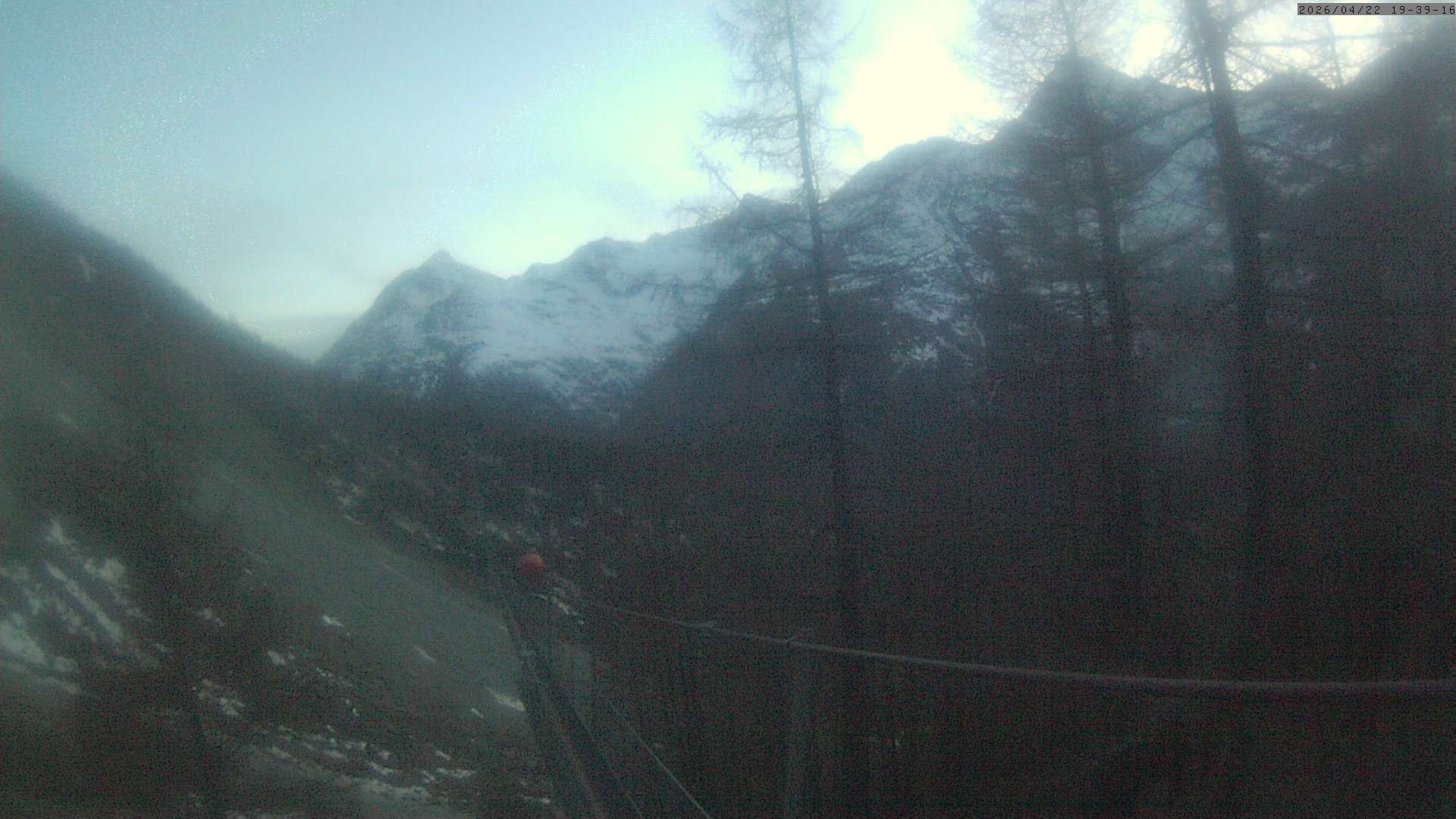 Archived image Webcam Grächen - View Suspension Bridge Charles Kuonen