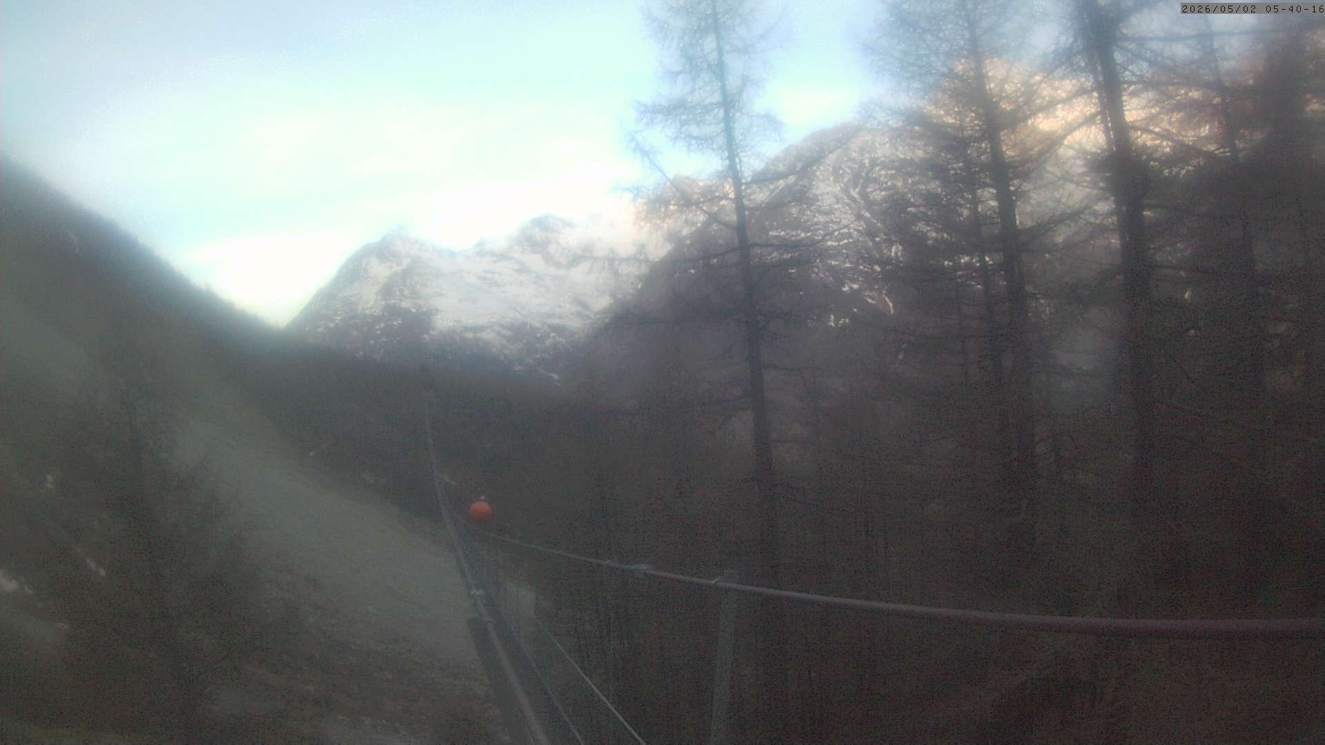 Archived image Webcam Grächen - View Suspension Bridge Charles Kuonen