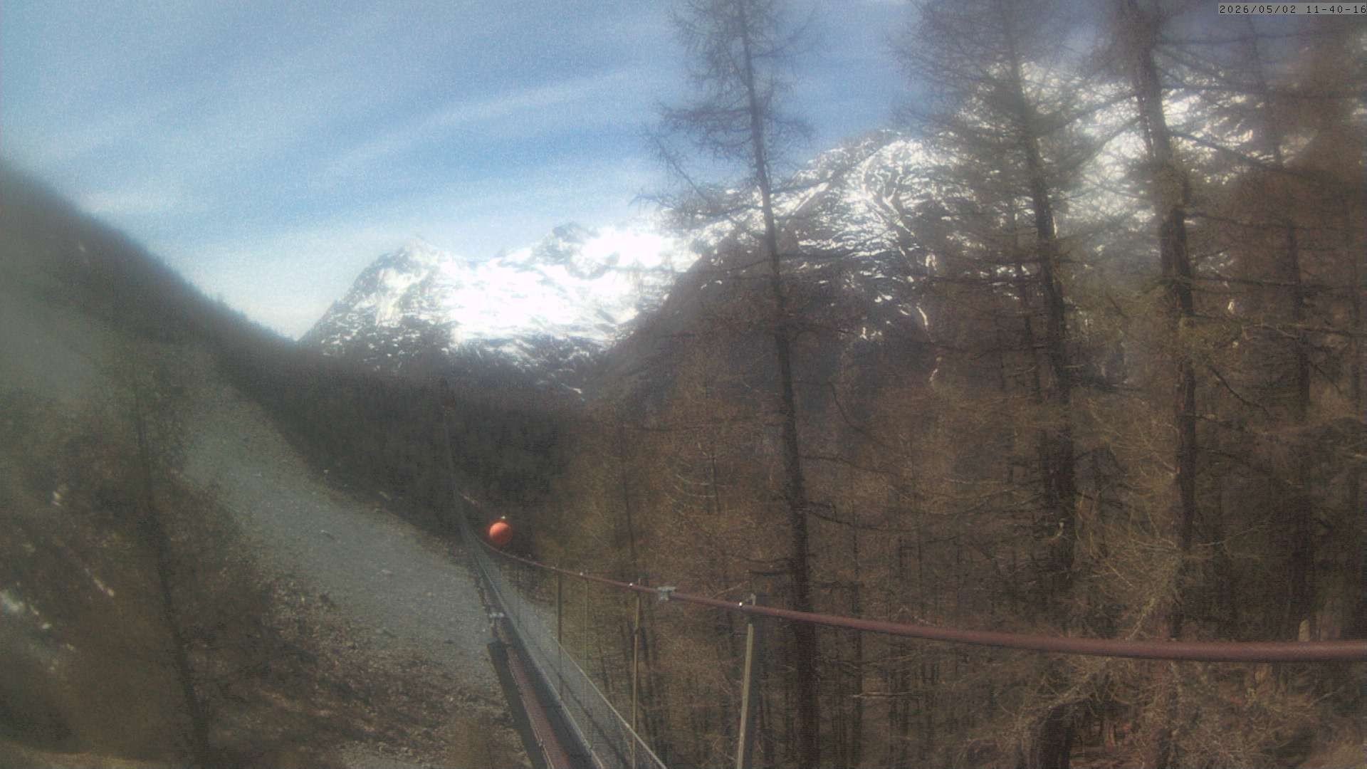 Archiv Foto Webcam Grächen: Charles Kuonen Hängebrücke