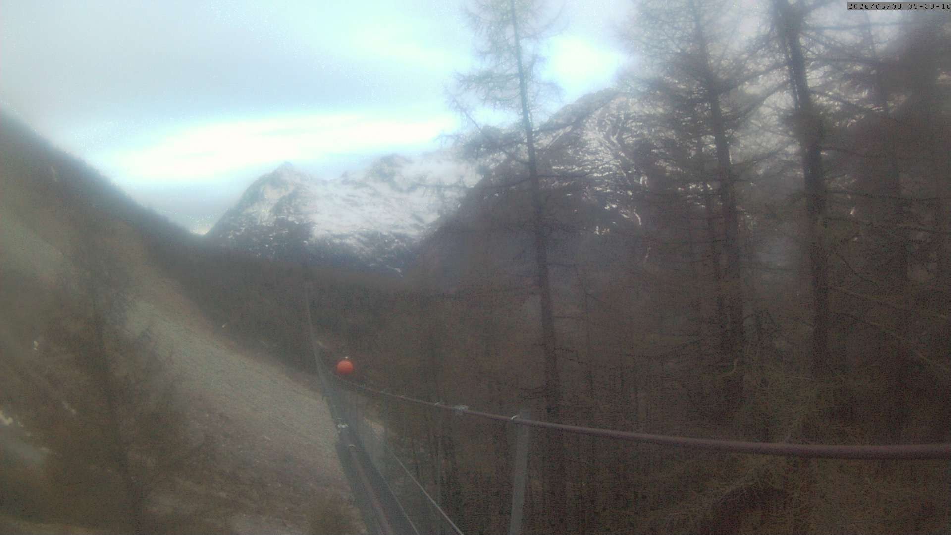 Archiv Foto Webcam Grächen: Charles Kuonen Hängebrücke