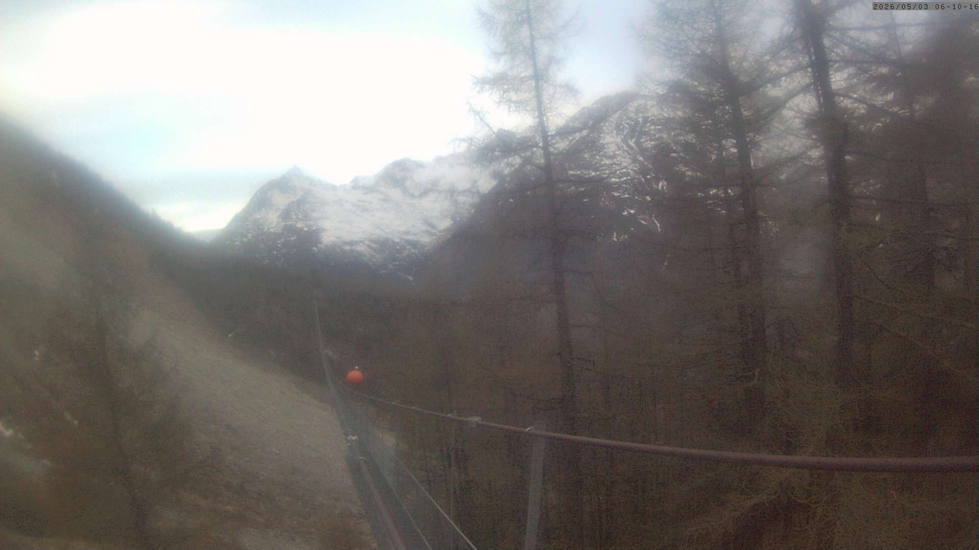 Archiv Foto Webcam Grächen: Charles Kuonen Hängebrücke