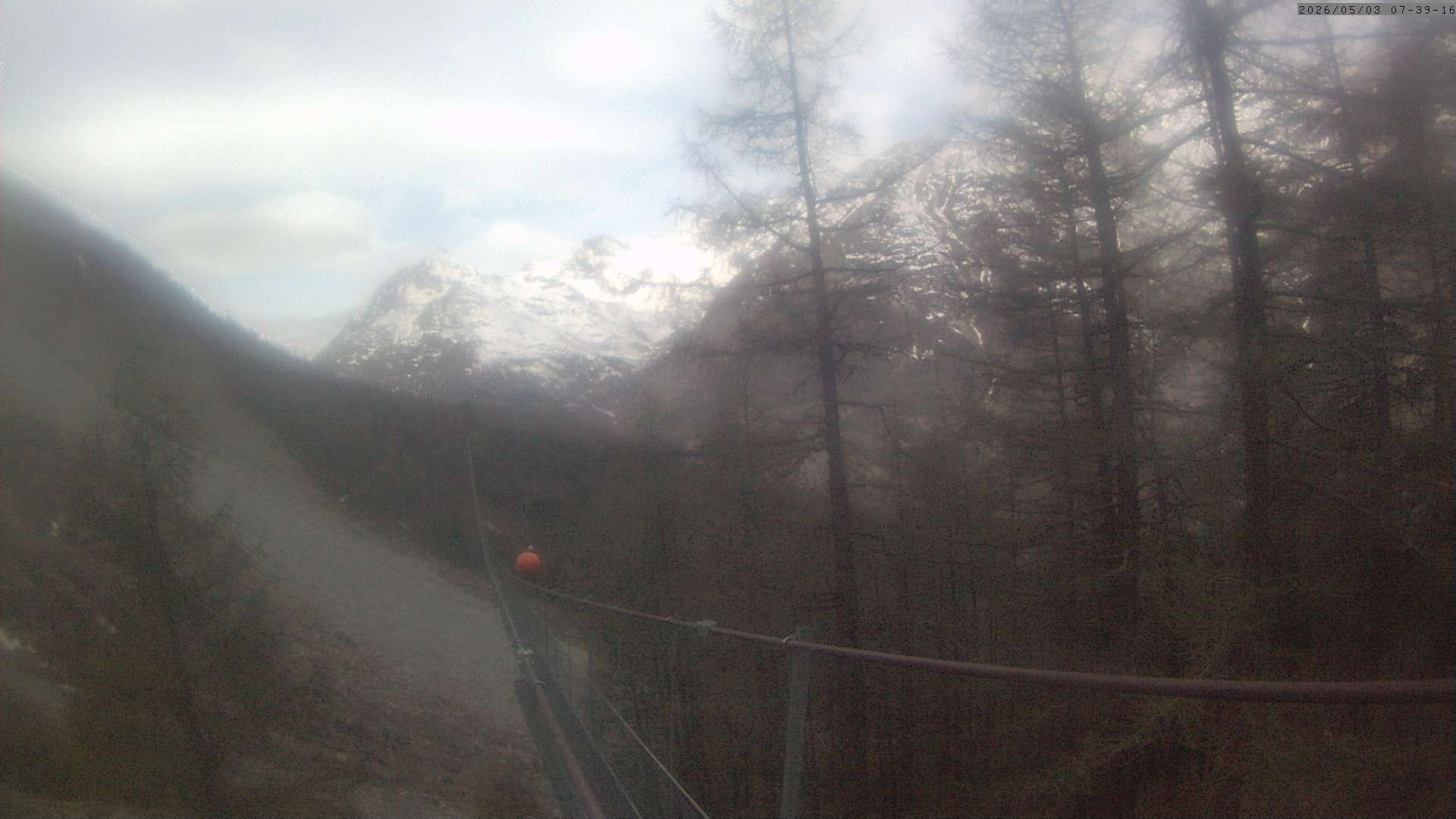 Archiv Foto Webcam Grächen: Charles Kuonen Hängebrücke