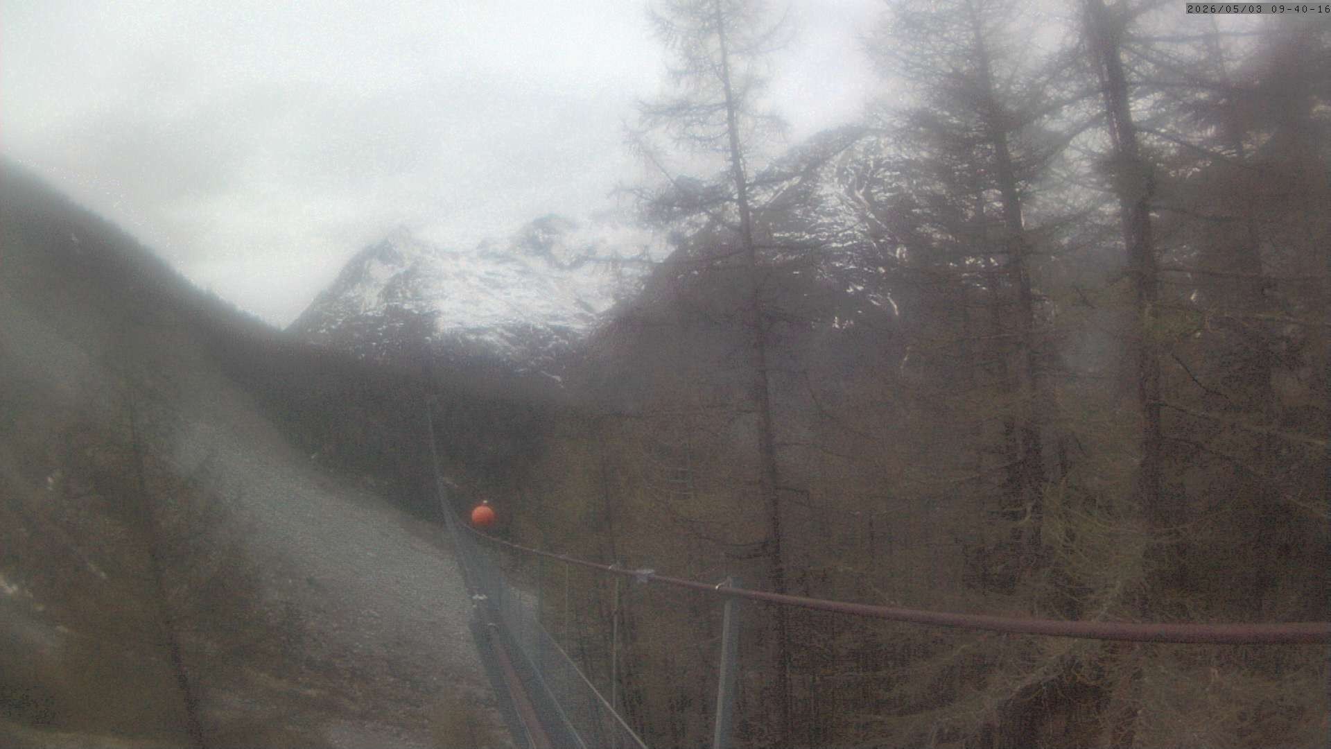 Archiv Foto Webcam Grächen: Charles Kuonen Hängebrücke