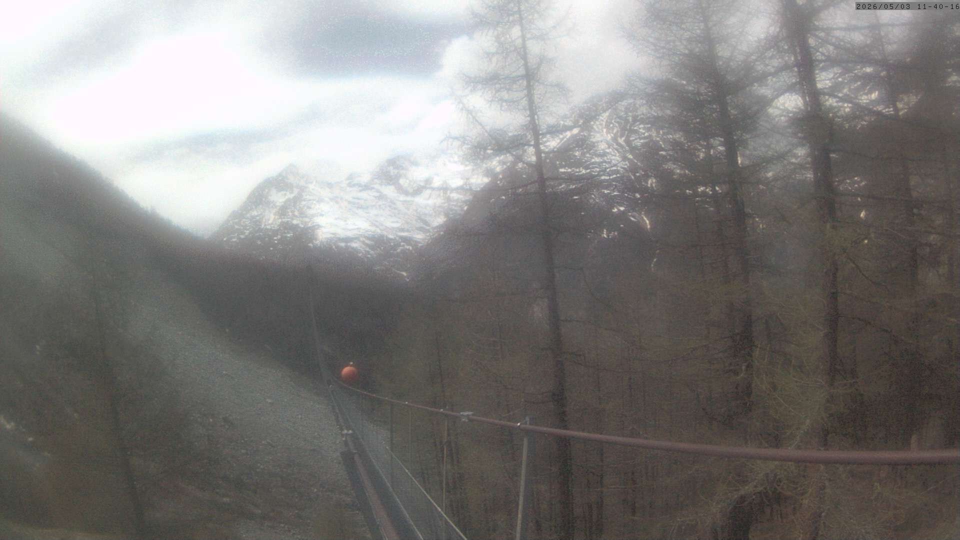 Archiv Foto Webcam Grächen: Charles Kuonen Hängebrücke