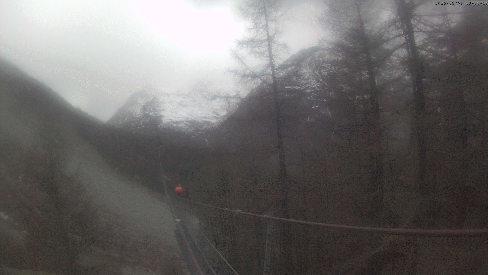 Archiv Foto Webcam Grächen: Charles Kuonen Hängebrücke
