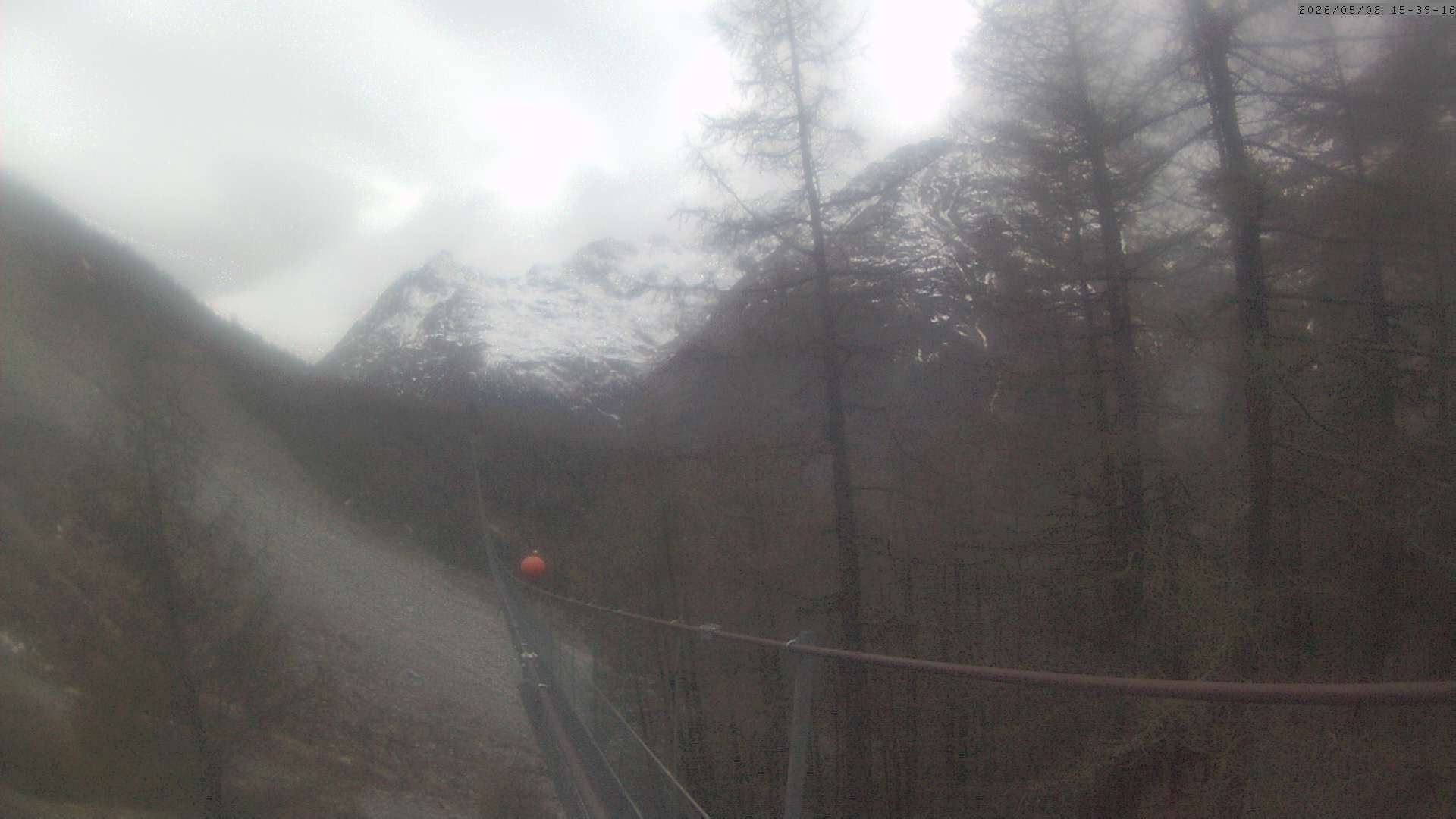 Archiv Foto Webcam Grächen: Charles Kuonen Hängebrücke