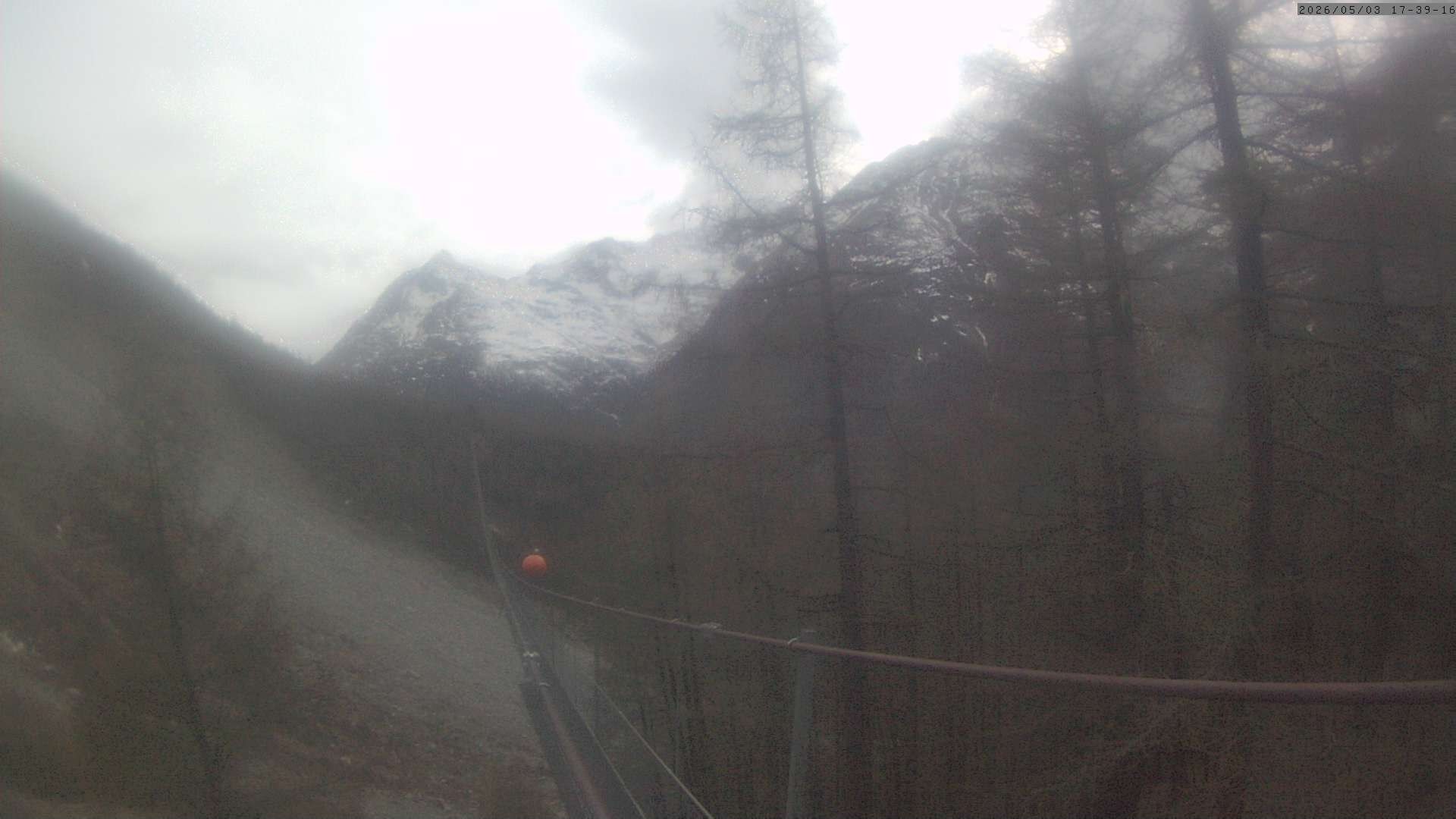 Archiv Foto Webcam Grächen: Charles Kuonen Hängebrücke