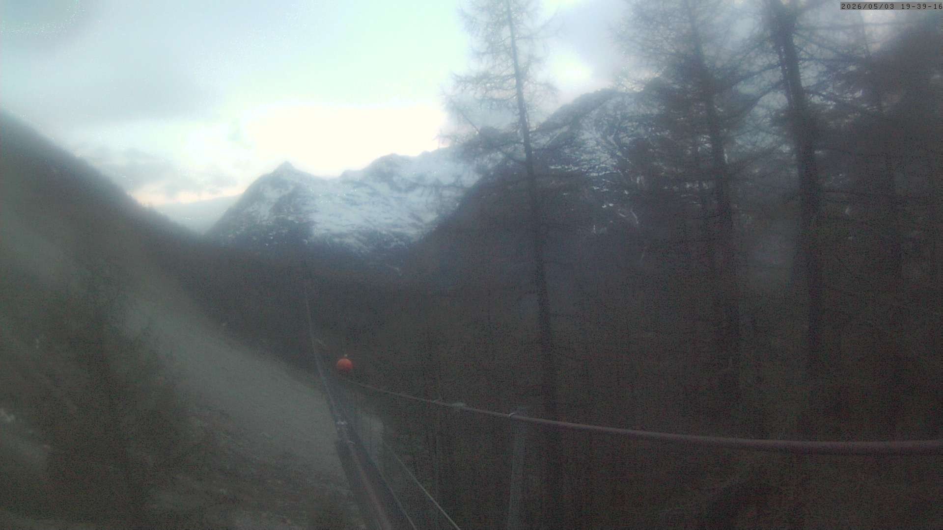 Archived image Webcam Grächen - View Suspension Bridge Charles Kuonen