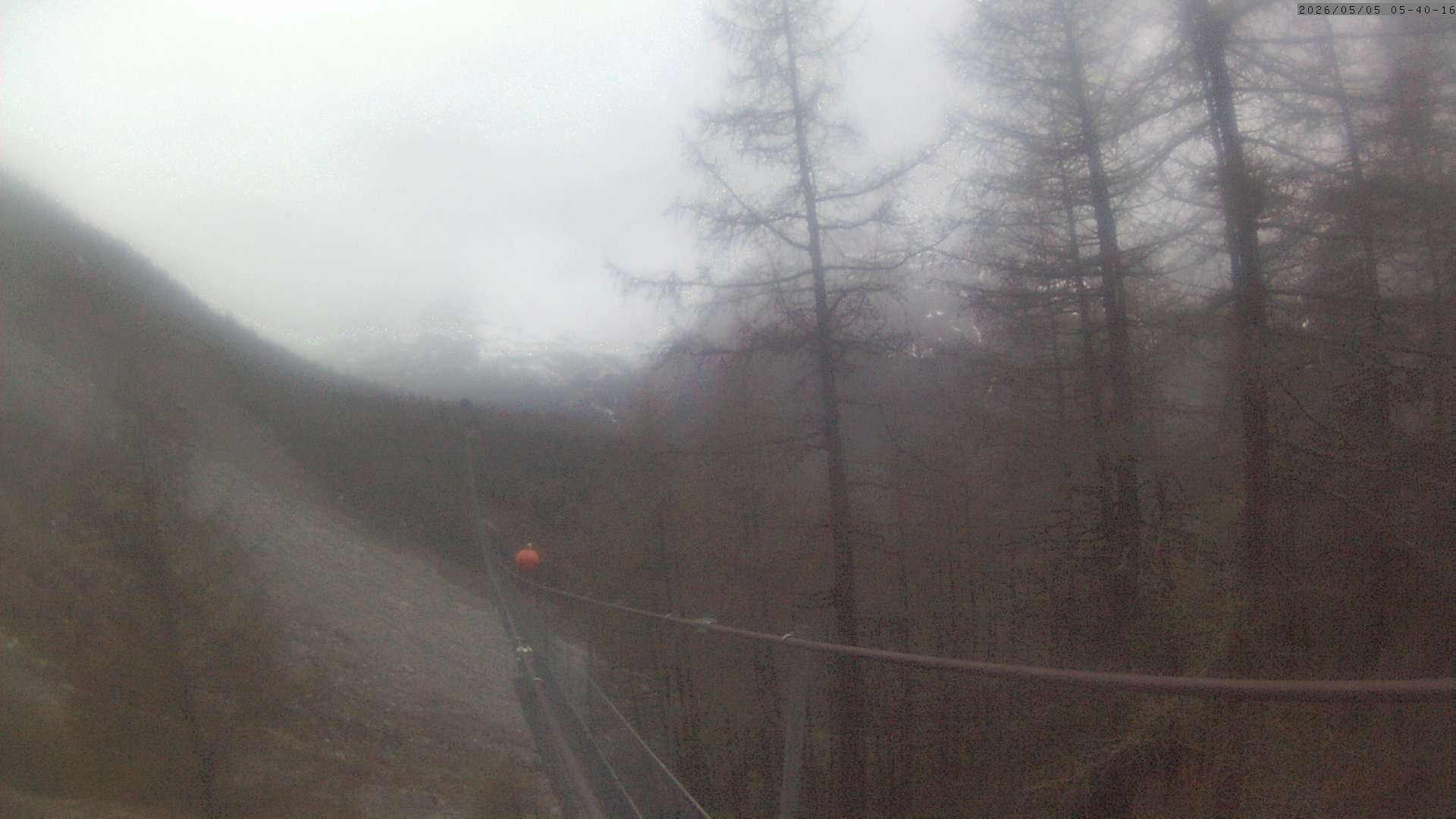 Archiv Foto Webcam Grächen: Charles Kuonen Hängebrücke