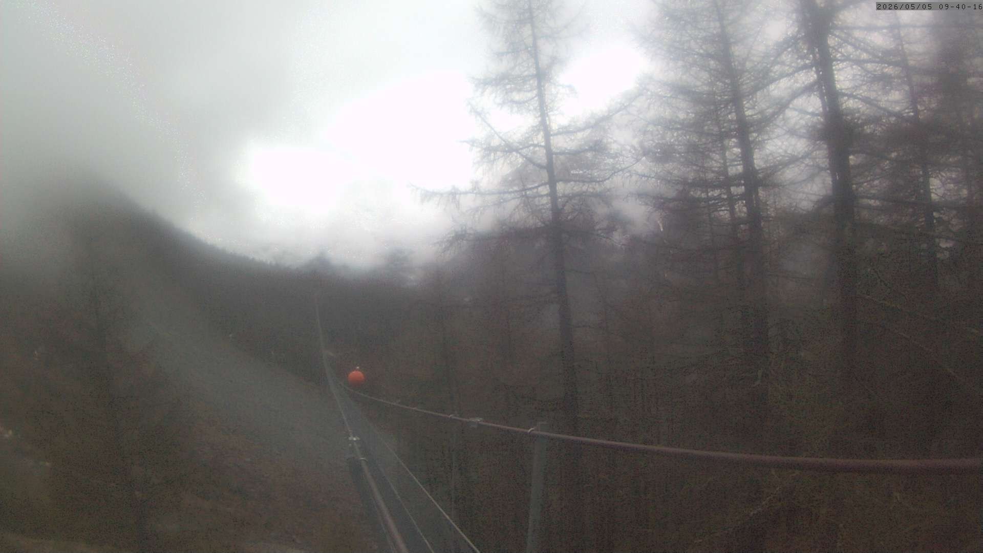 Archiv Foto Webcam Grächen: Charles Kuonen Hängebrücke