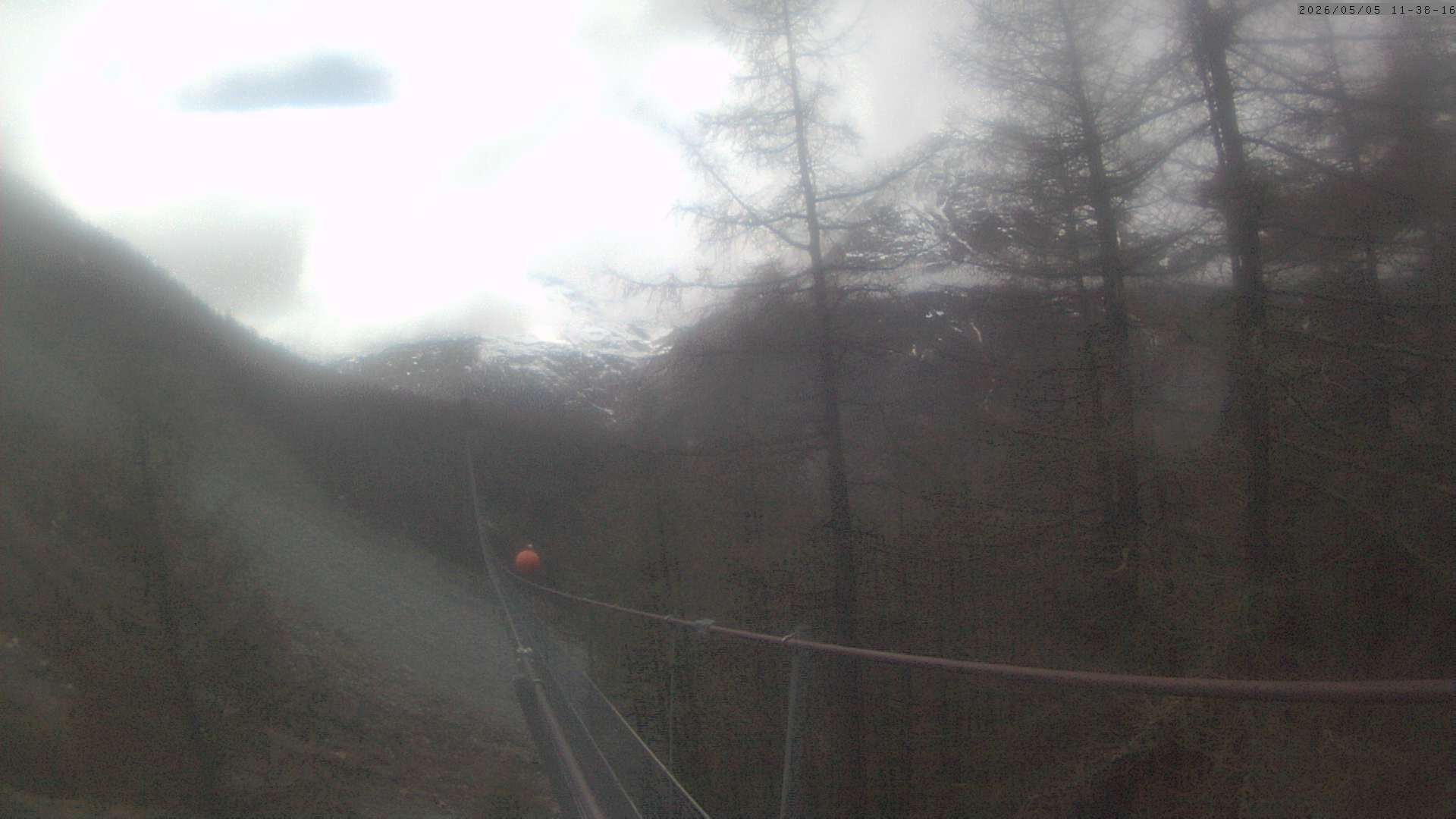 Archiv Foto Webcam Grächen: Charles Kuonen Hängebrücke